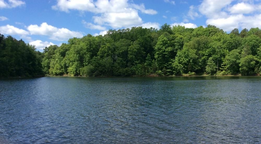 Lowndesville, Abbeville County, SC Farms and Ranches, Recreational Property, Horse Property for