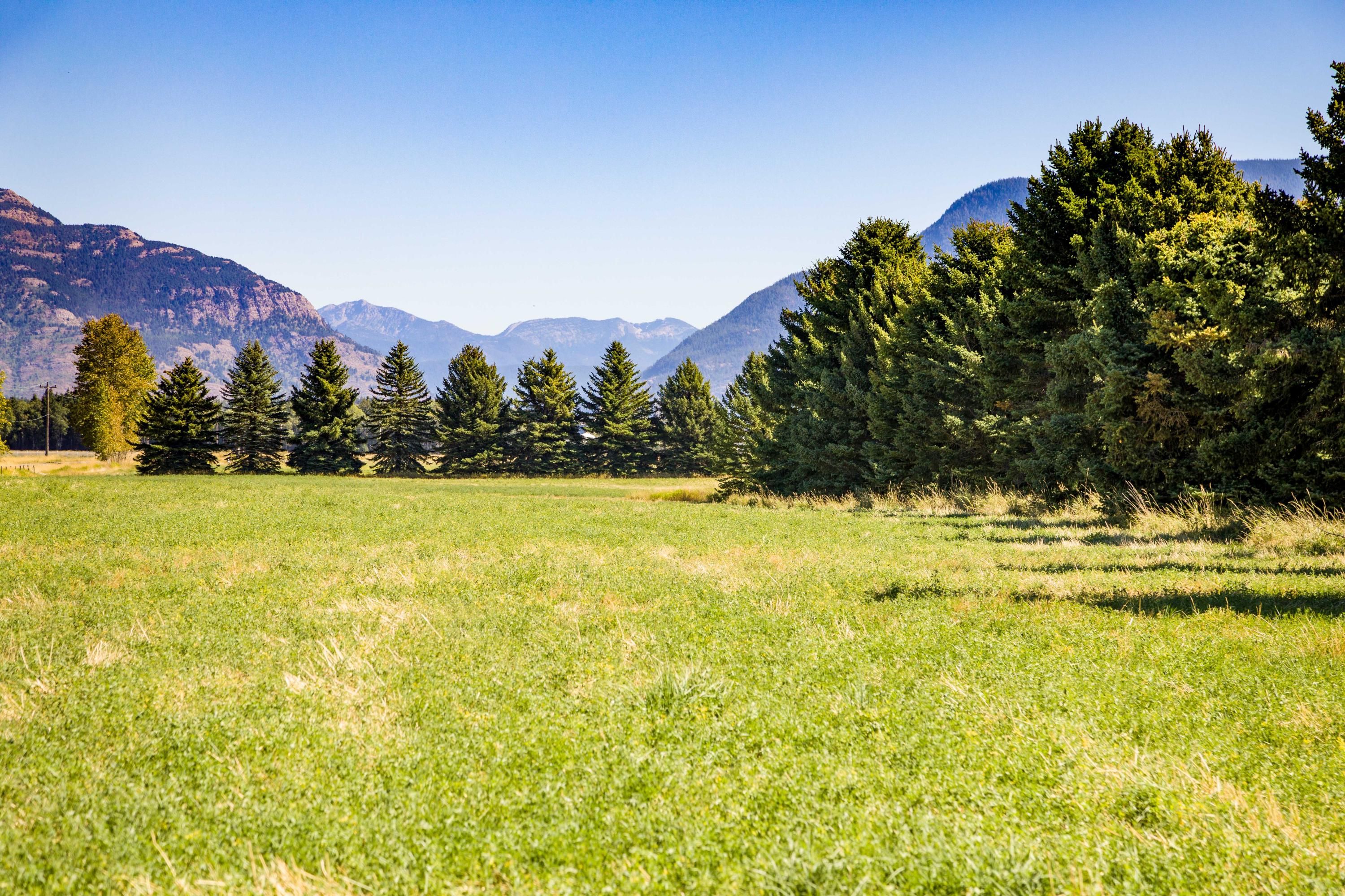 Whitefish, Flathead County, MT Undeveloped Land for sale Property ID