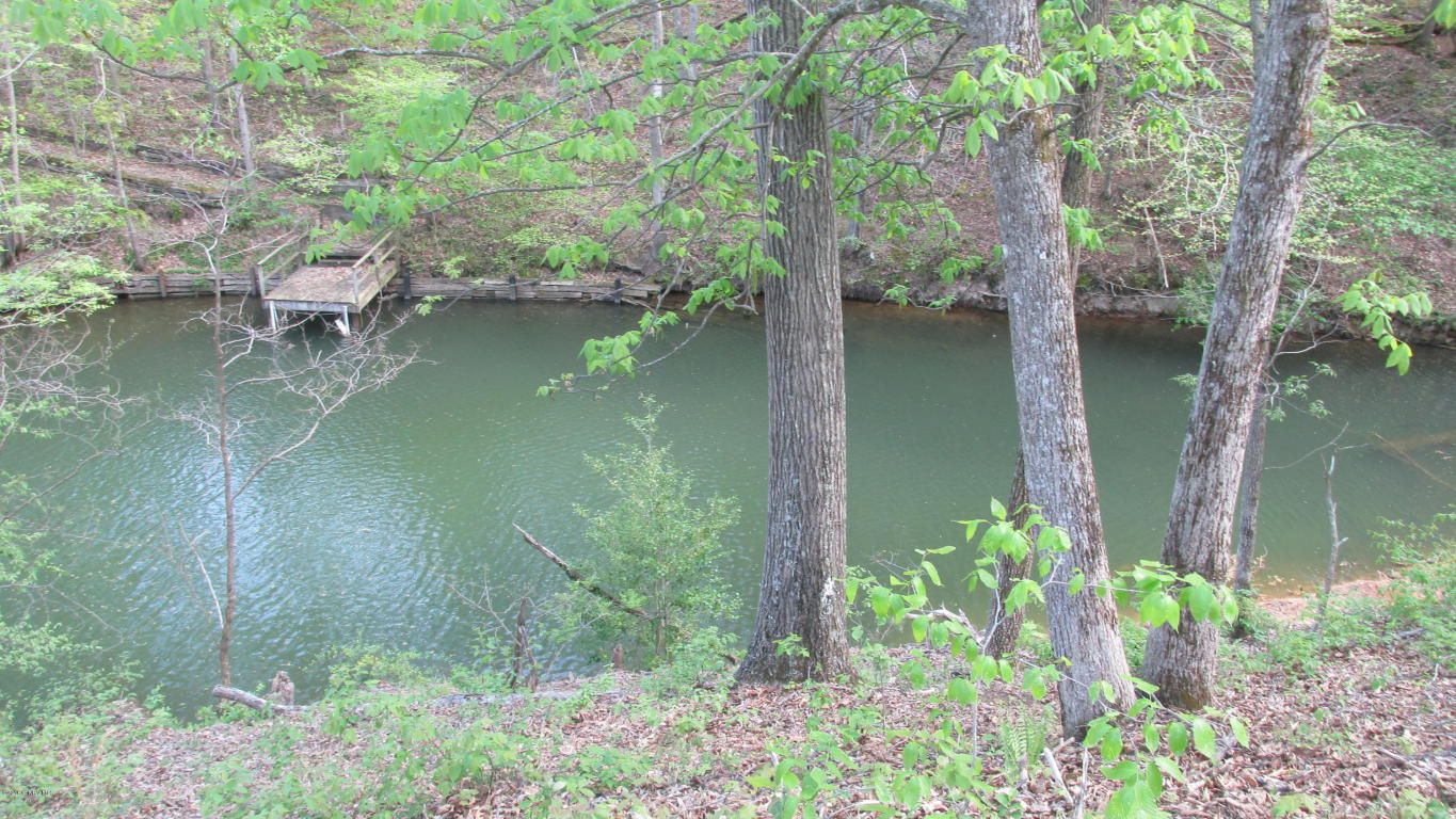 Radford, Pulaski County, VA Undeveloped Land, Homesites for sale Property ID 2467082 LandWatch