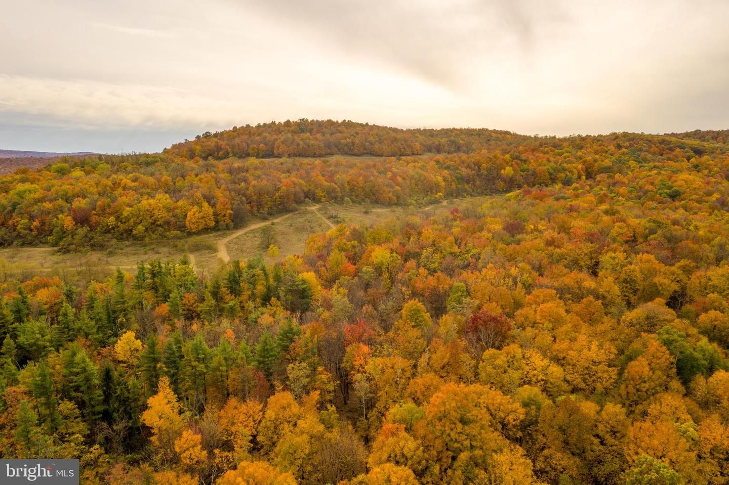 Mount Savage, Allegany County, MD Farms and Ranches for sale Property