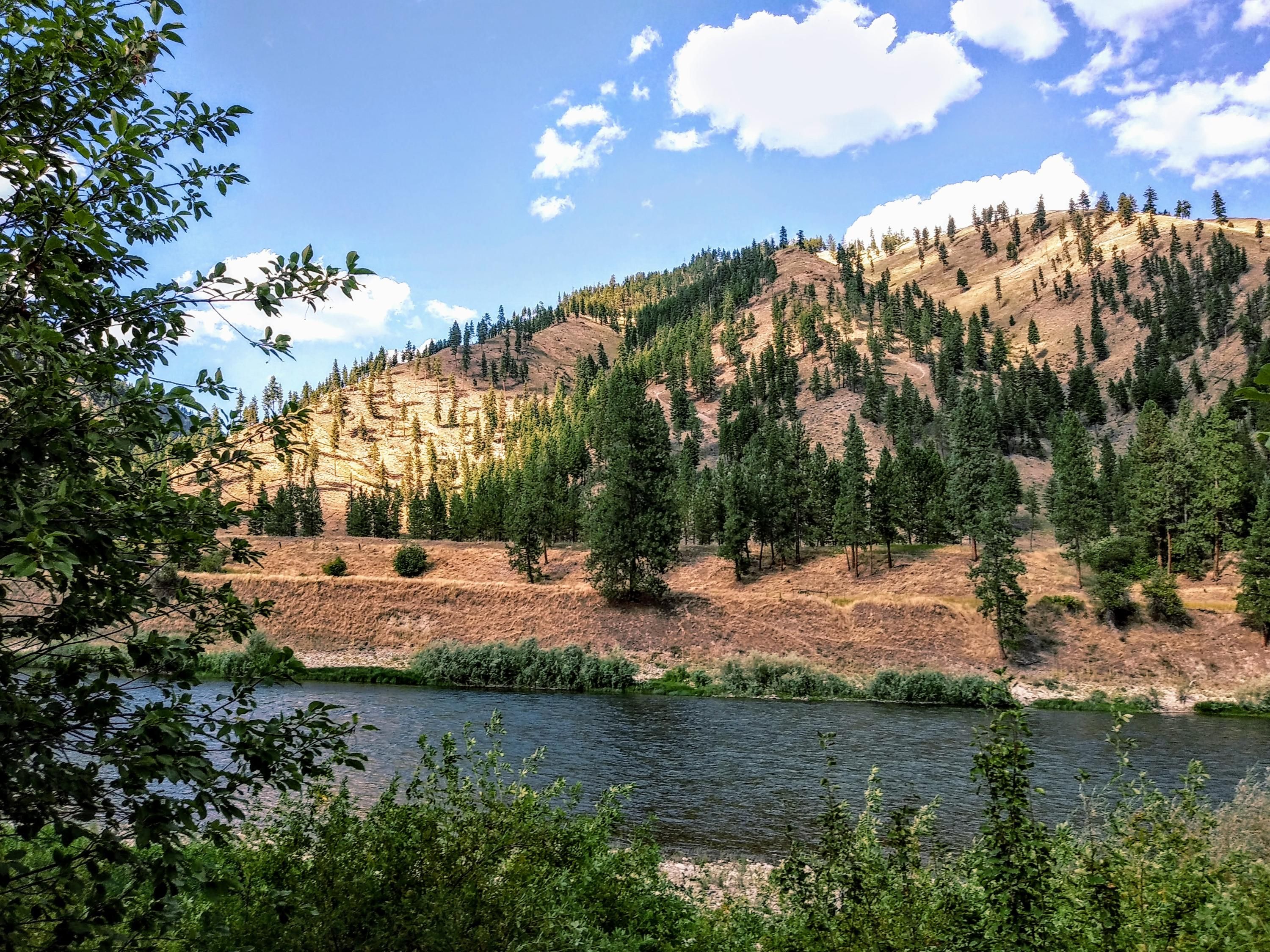 Superior, Mineral County, MT Undeveloped Land, Homesites for sale