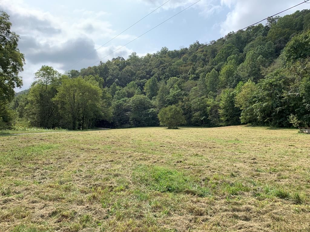 Whitleyville, Jackson County, TN Undeveloped Land for sale Property ID 339194385 LandWatch