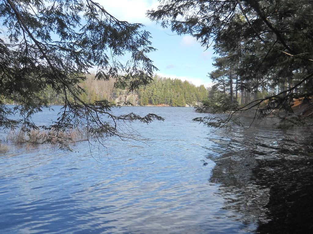 Long Lake, Hamilton County, NY Undeveloped Land, Lakefront Property