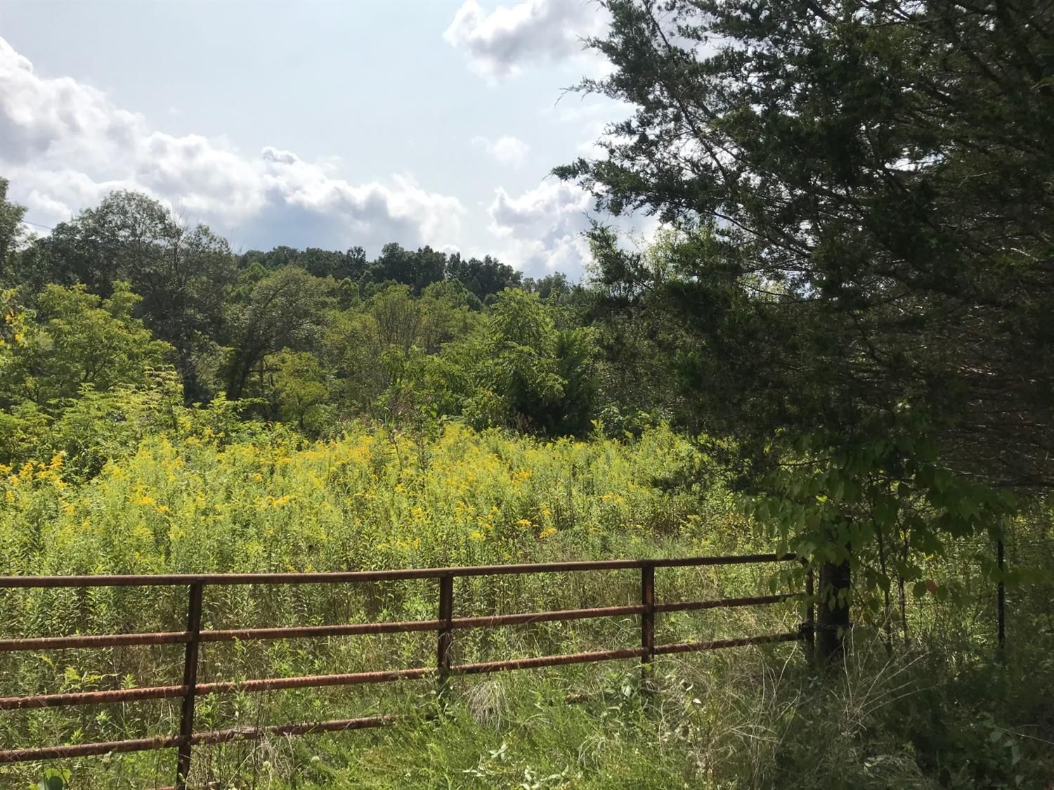 London, Laurel County, KY Farms and Ranches for sale Property ID