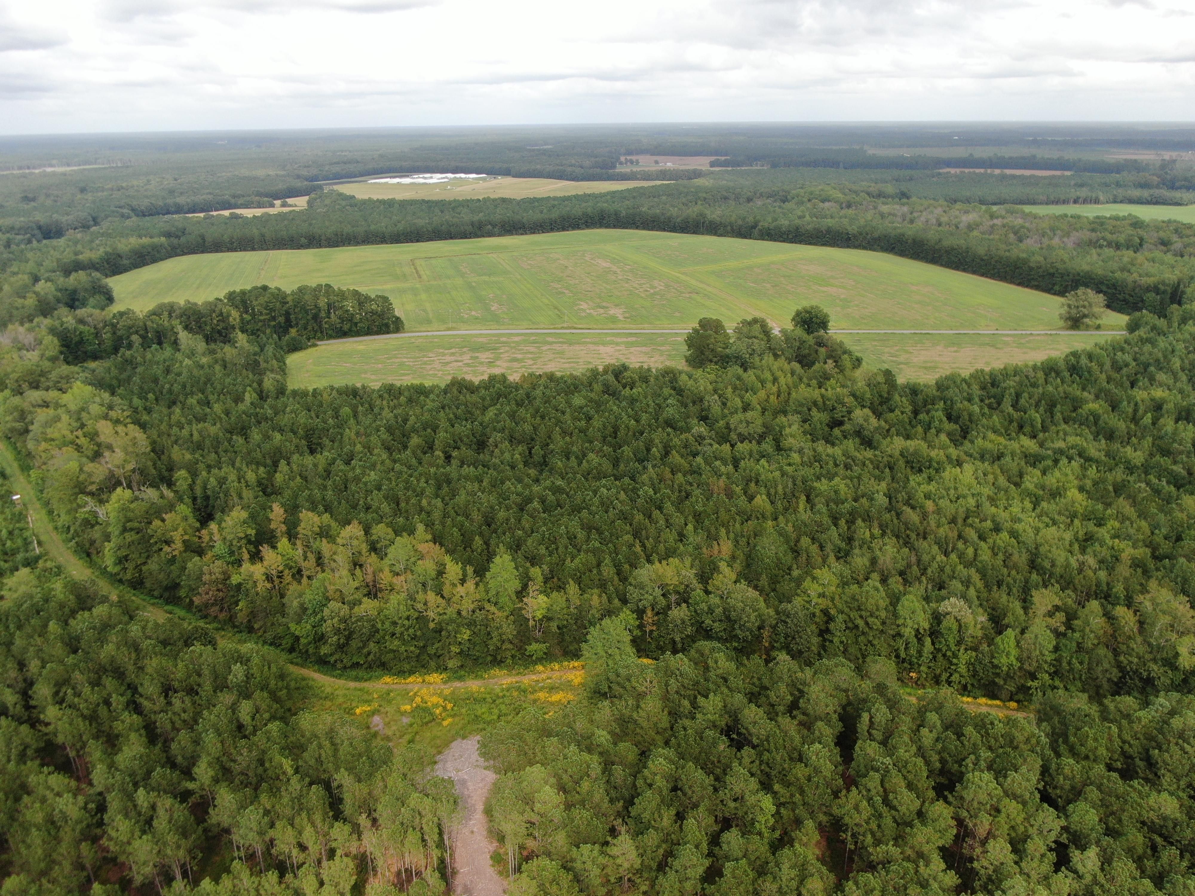 Rich Square, Northampton County, NC Farms and Ranches, Recreational