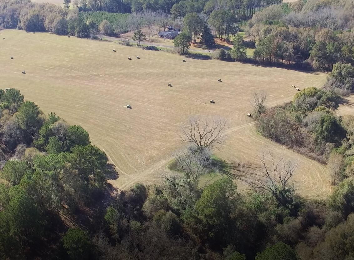 Ariton, Barbour County, AL Farms and Ranches, Hunting Property, House for sale Property ID