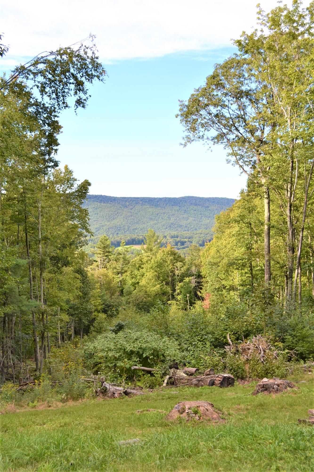 Gap Mills, Monroe County, WV House for sale Property ID 339201104