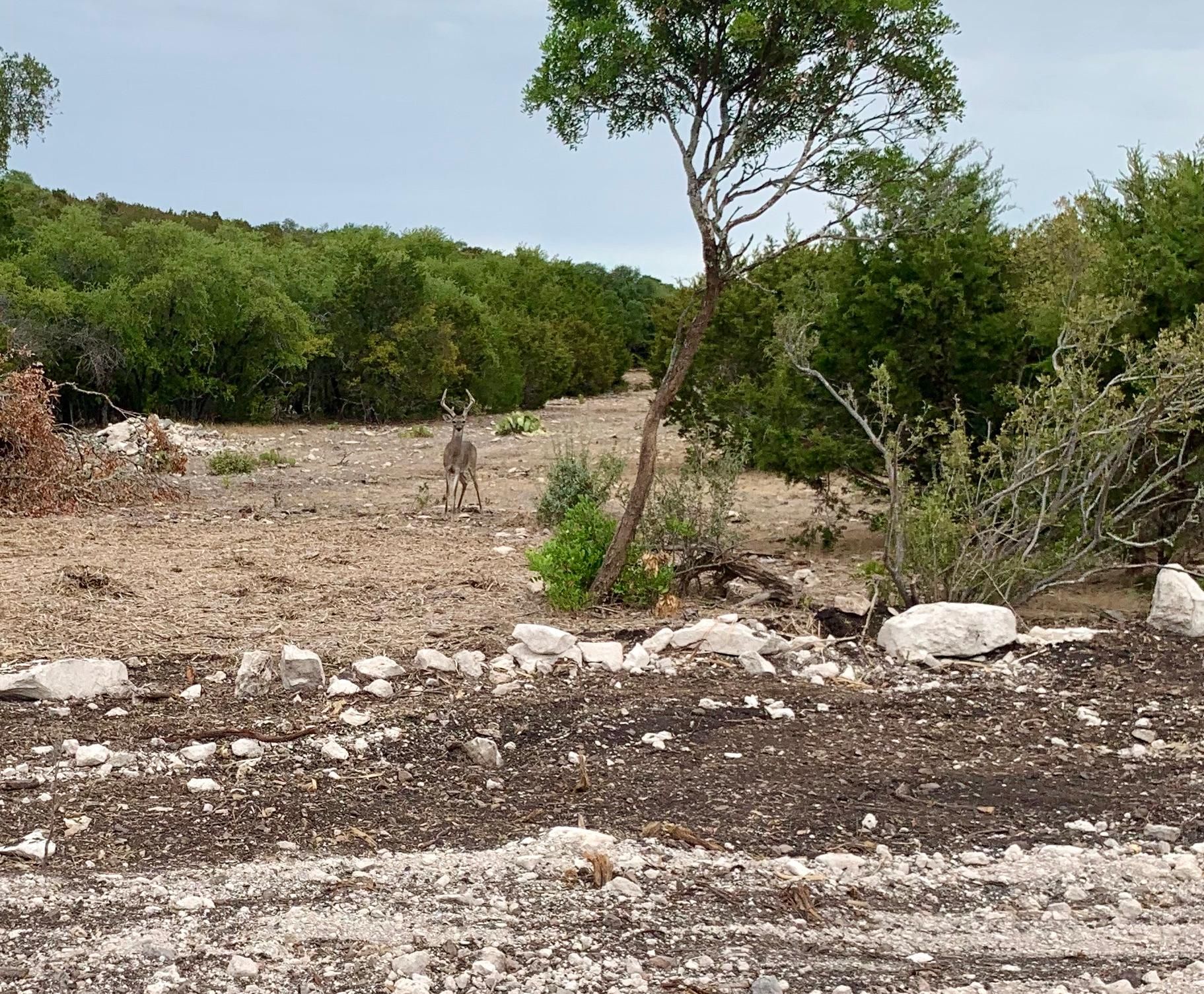 Rocksprings, Edwards County, TX Farms and Ranches, Recreational