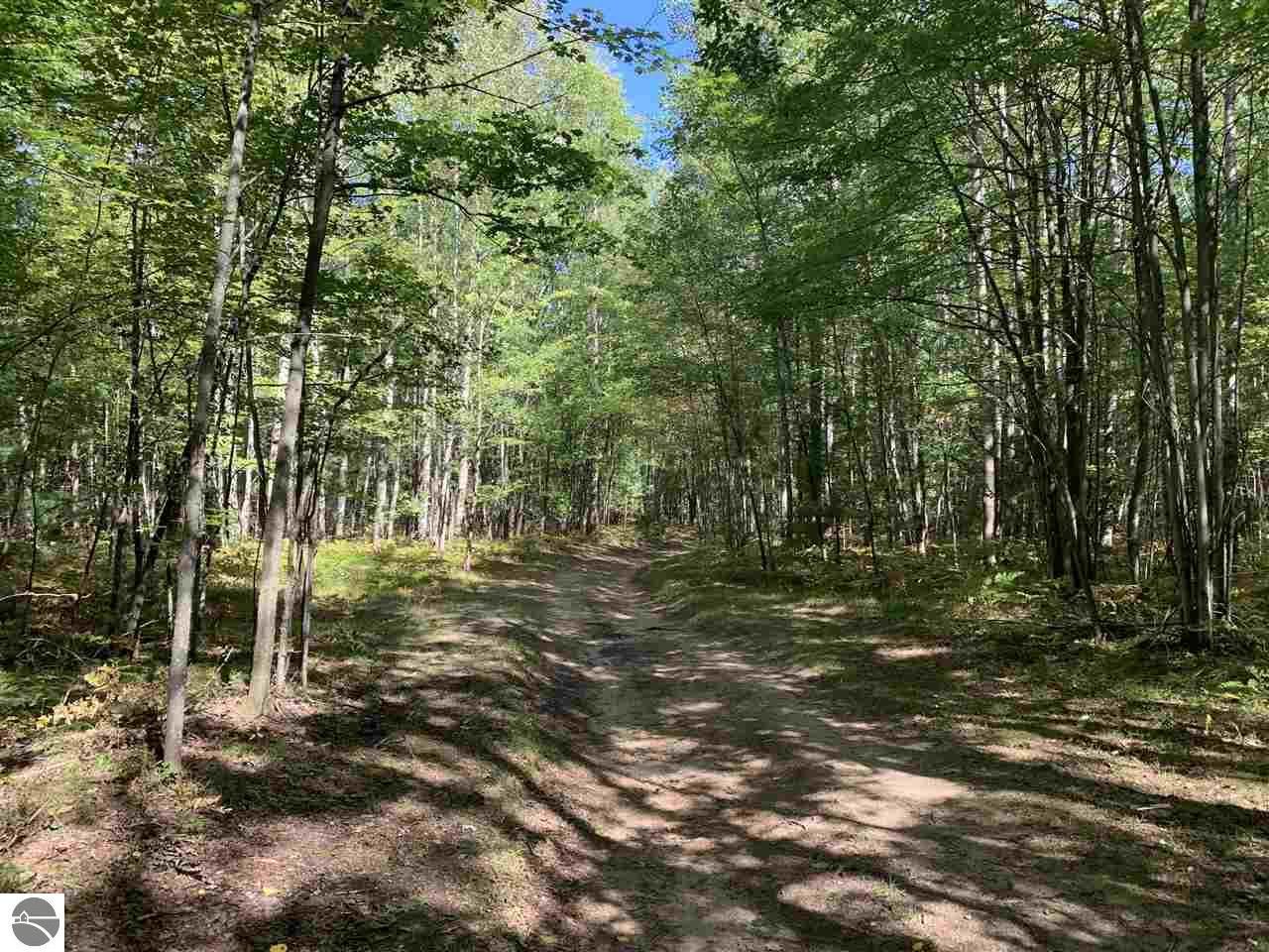 Lake City, Missaukee County, MI Undeveloped Land for sale Property ID