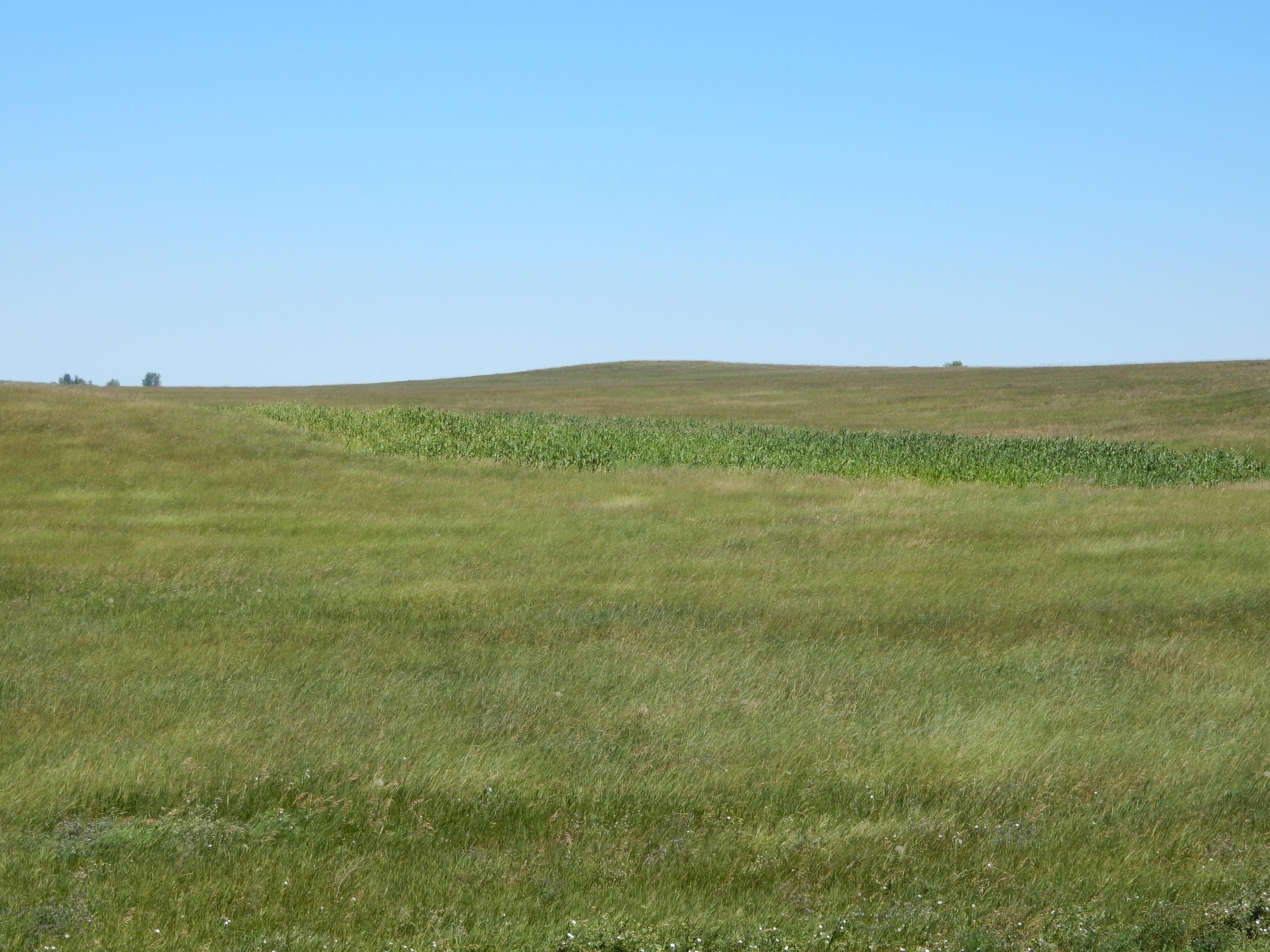 Mott, Hettinger County, ND Farms and Ranches for auction Property ID