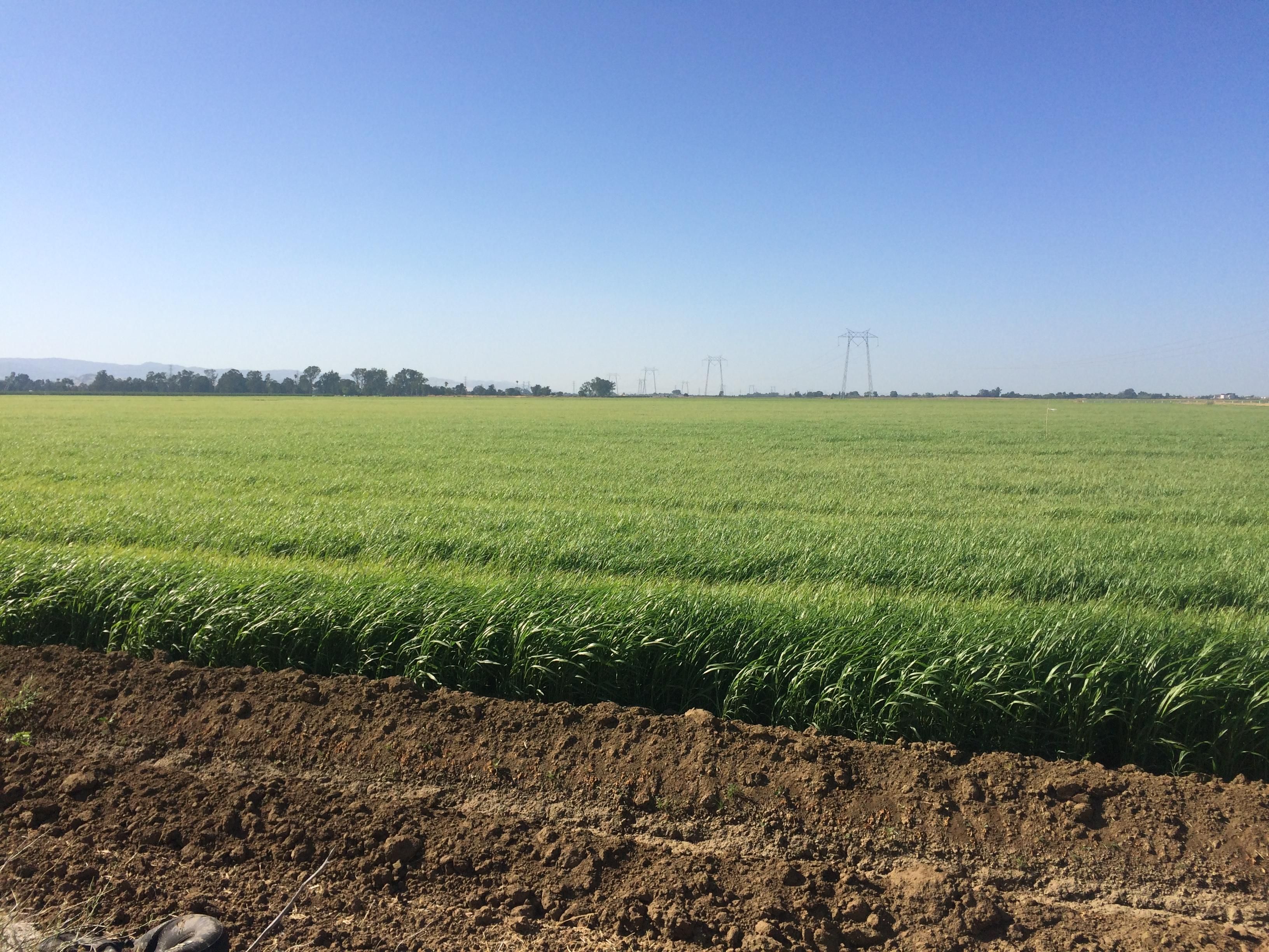 Vacaville, Solano County, CA Farms and Ranches for sale Property ID