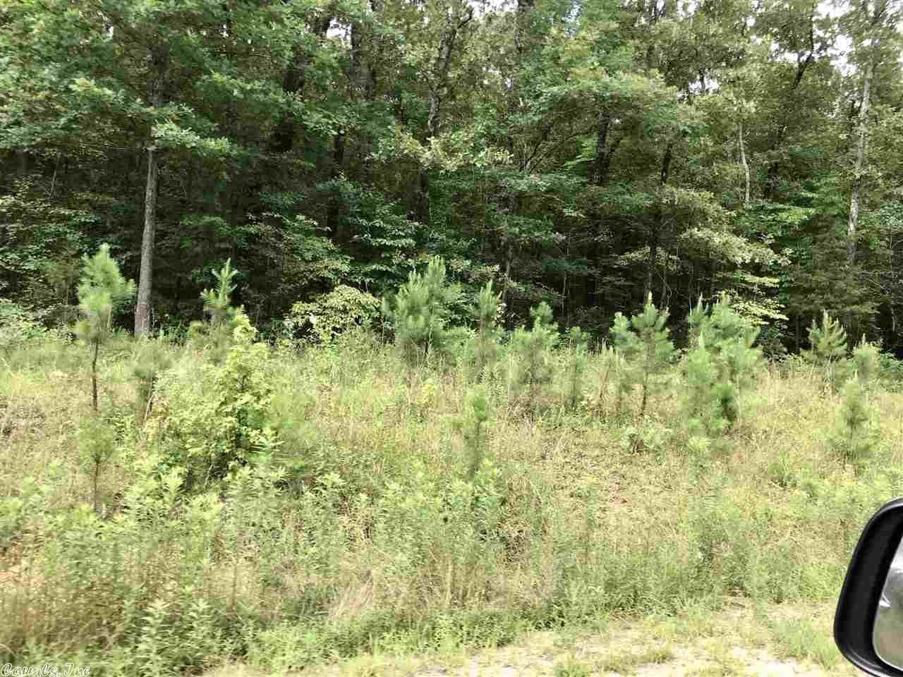 Springfield, Conway County, AR Undeveloped Land for sale Property ID 339218192 LandWatch