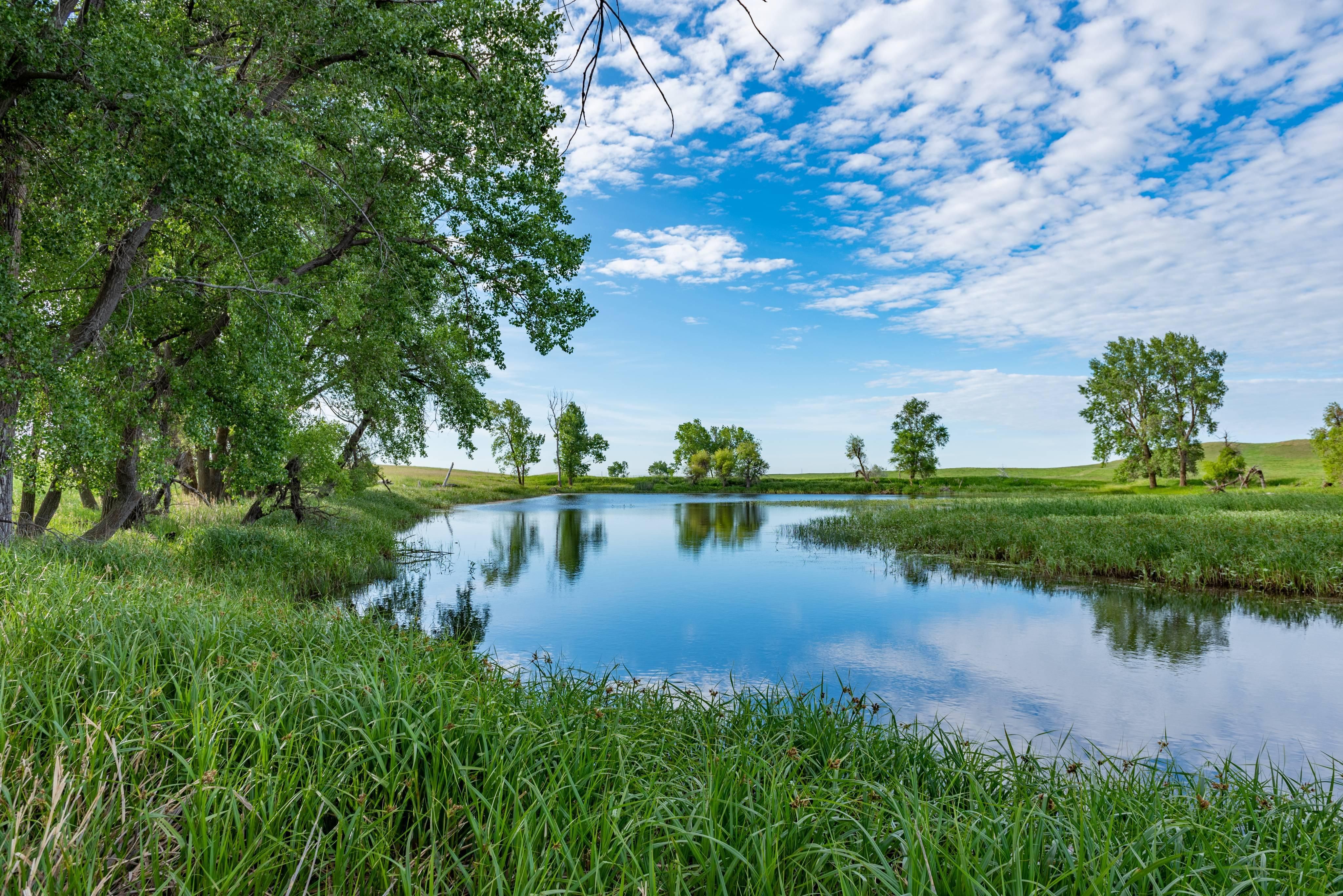 TBD, Bowman, ND 58623 LandWatch