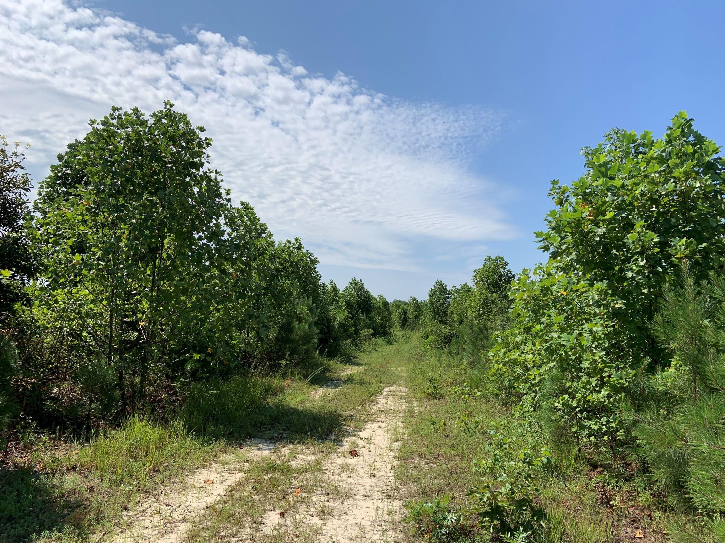 Tappahannock, Essex County, VA Recreational Property, Timberland Property, Hunting Property for