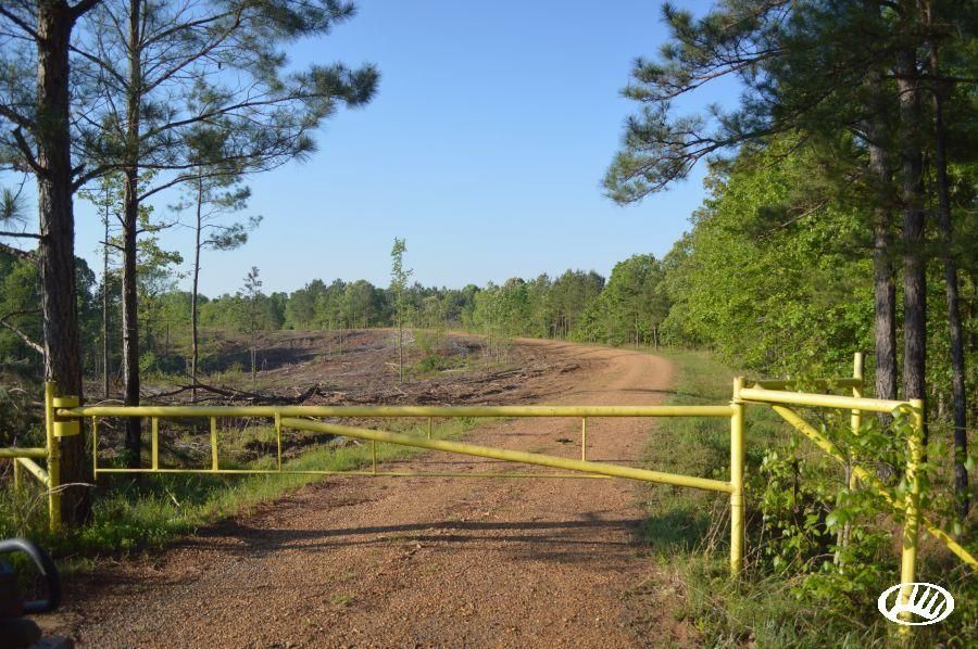 Harrisonburg, Catahoula Parish, LA Recreational Property, Timberland