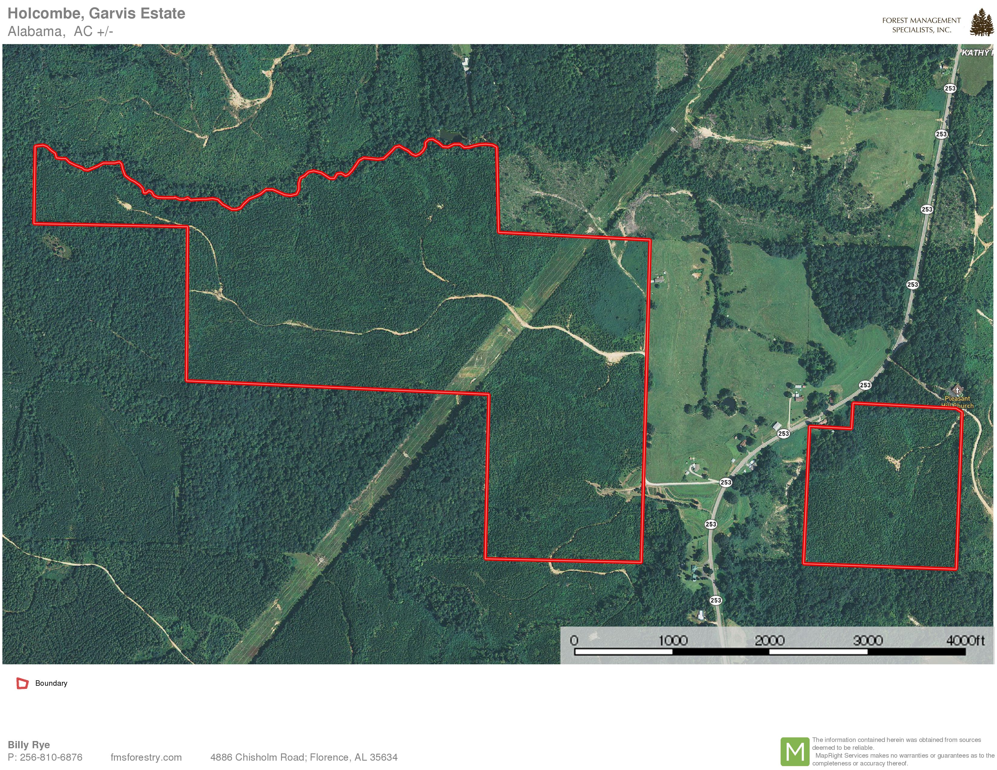 Hackleburg, Marion County, AL Recreational Property, Timberland