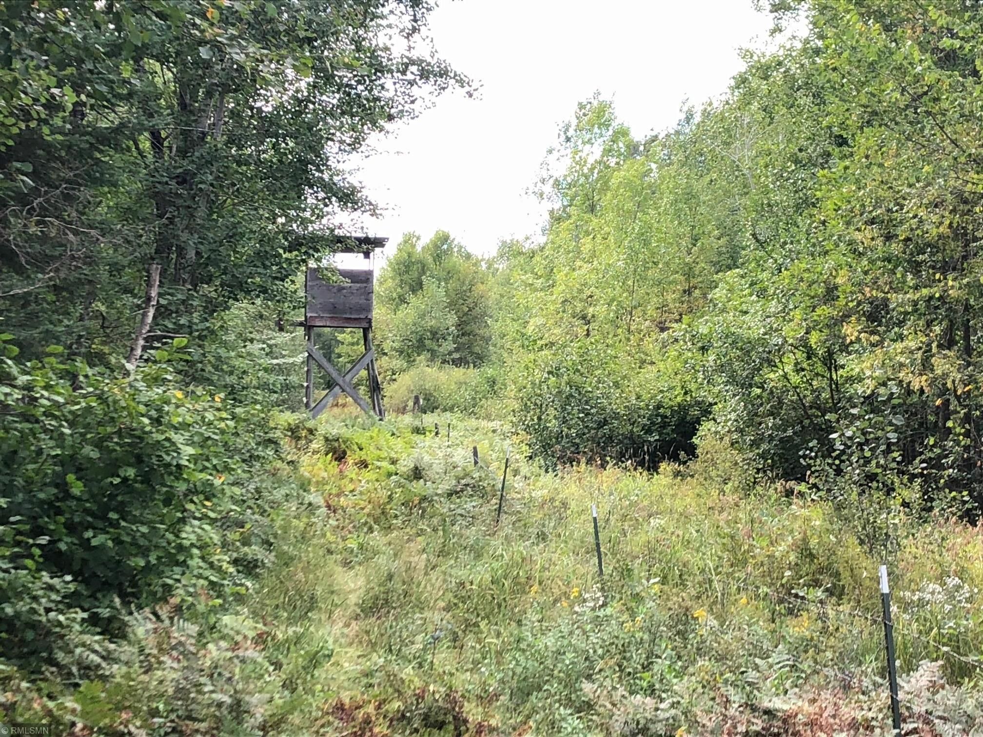 Alvwood, Beltrami County, MN Undeveloped Land for sale Property ID