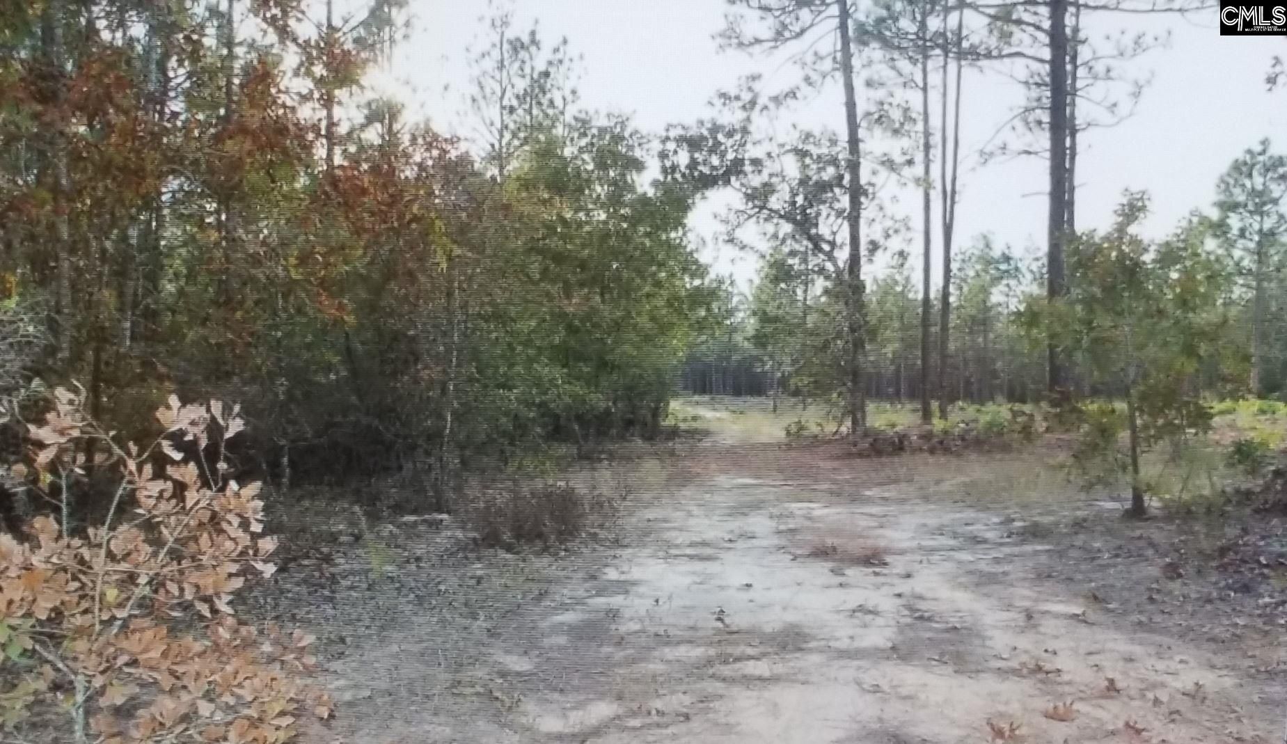 Leesville, Lexington County, SC Undeveloped Land, Homesites for sale