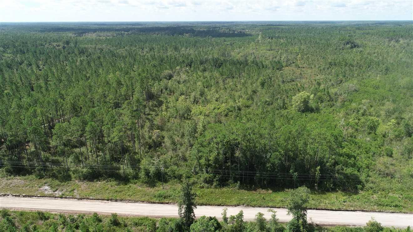 Waverly, Camden County, GA Recreational Property, Timberland Property