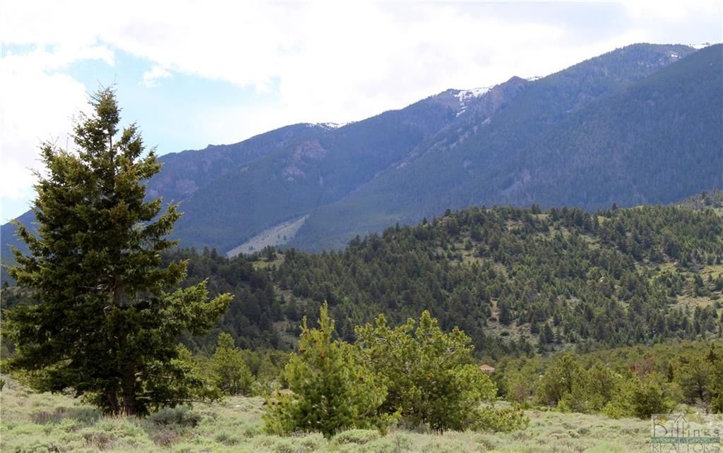 Belfry, Carbon County, MT Undeveloped Land for sale Property ID 339253840 LandWatch