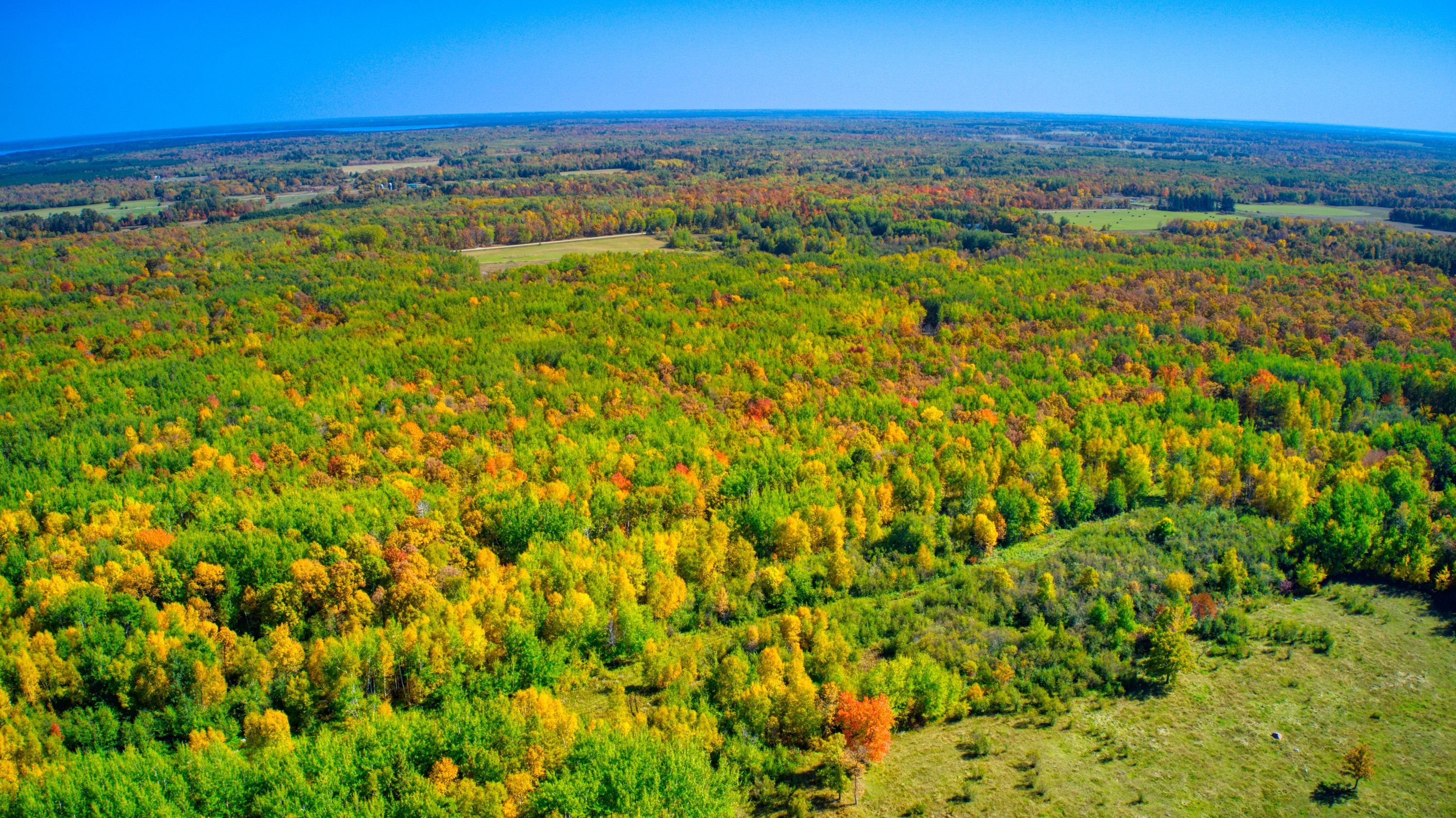 Cass Lake, Cass County, MN Undeveloped Land for sale Property ID 339197749 LandWatch