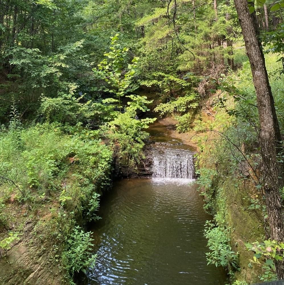 Chelsea, Shelby County, AL Recreational Property, Lakefront Property,  Waterfront Property for sale Property ID: 339256926 | LandWatch