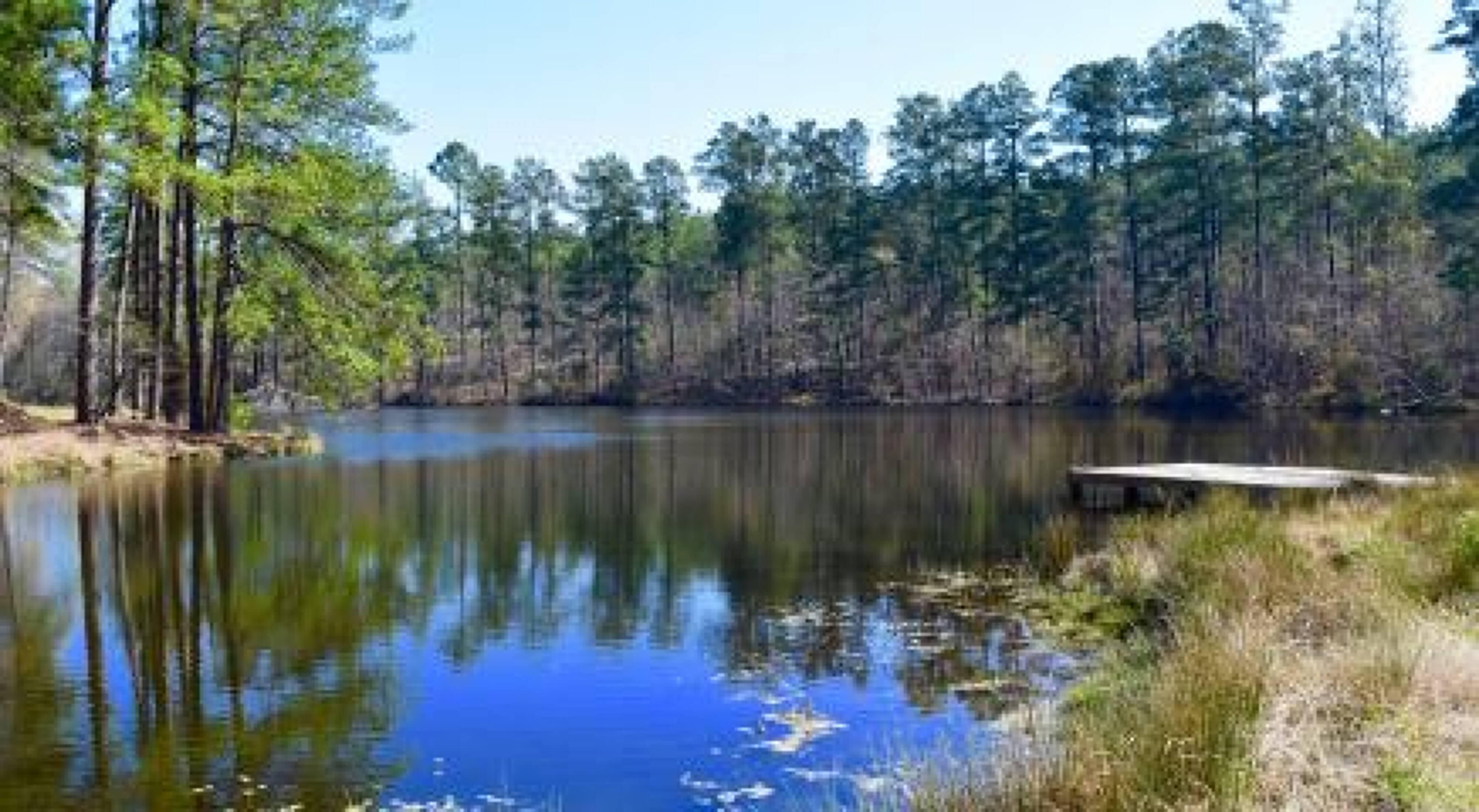 North Augusta, Edgefield County, SC Recreational Property, Undeveloped