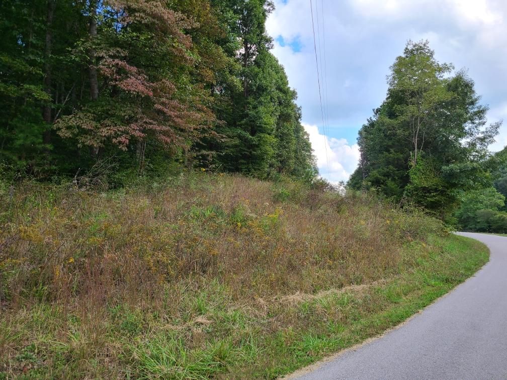Vanceburg, Lewis County, KY Recreational Property, Undeveloped Land for
