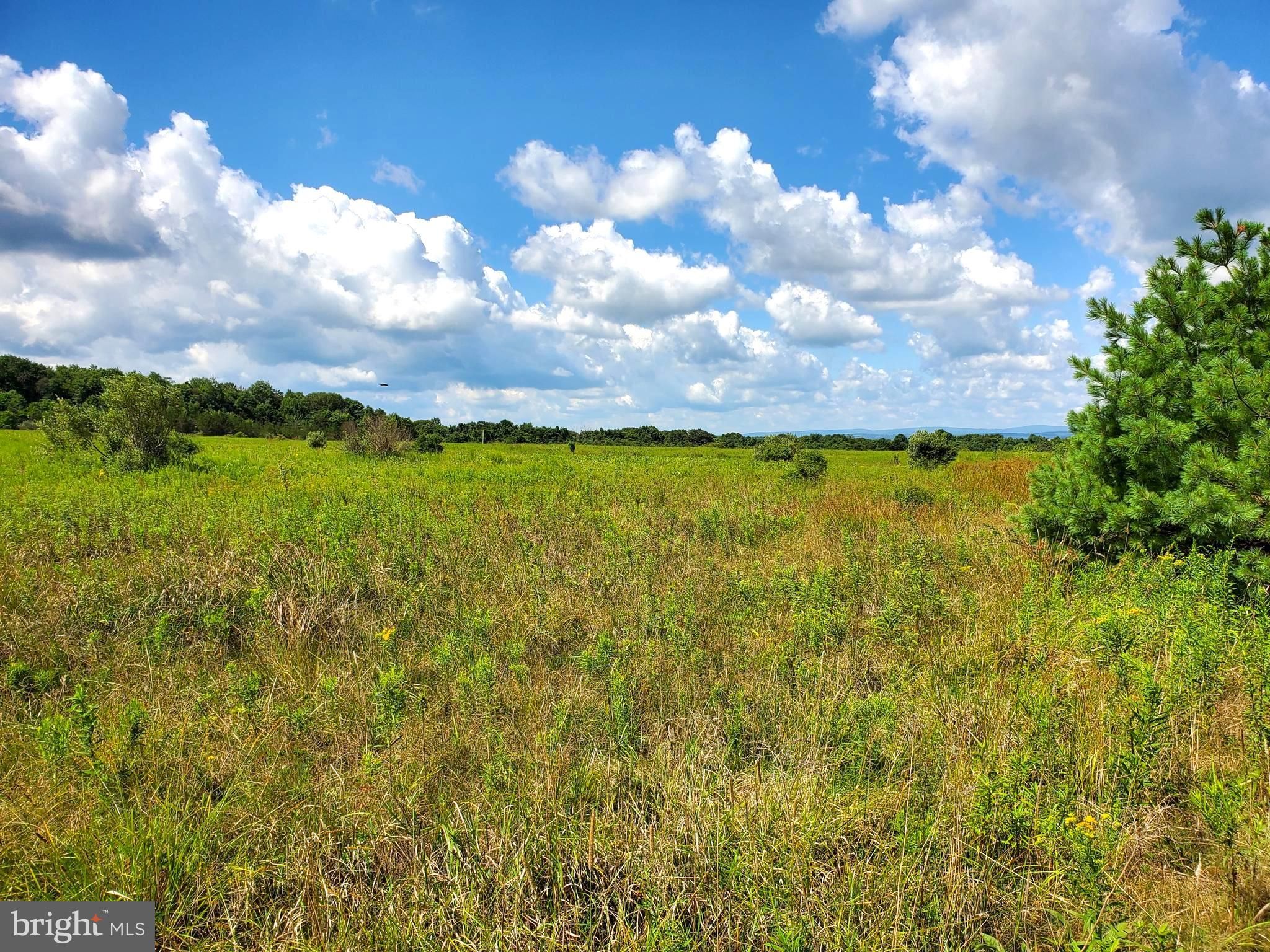 Garrett, Somerset County, PA Undeveloped Land for sale Property ID