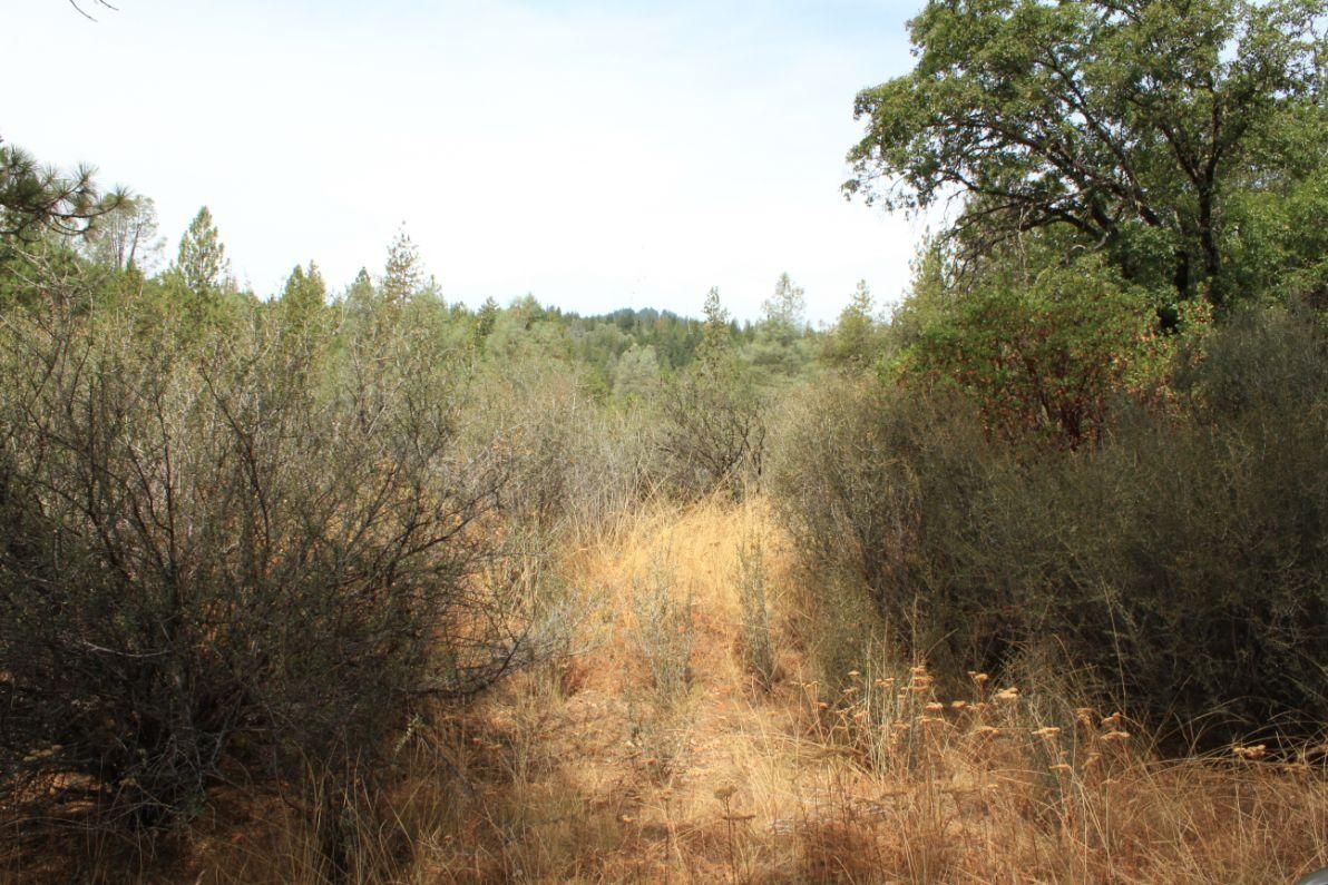 Wildwood, Shasta County, CA Recreational Property, Undeveloped Land, Homesites for sale Property
