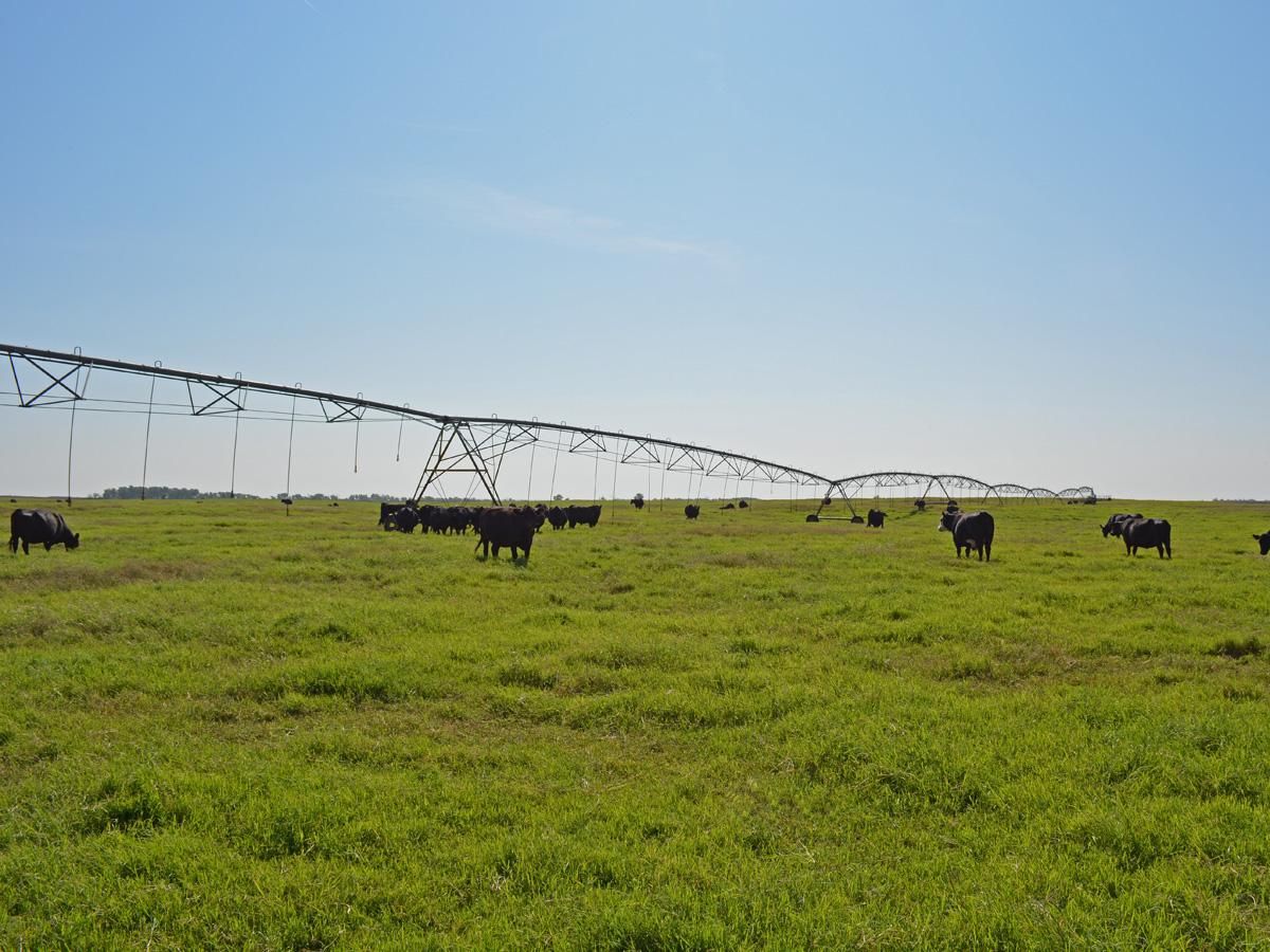 Rosston, Harper County, OK Farms and Ranches, Undeveloped Land, Hunting Property, House for sale