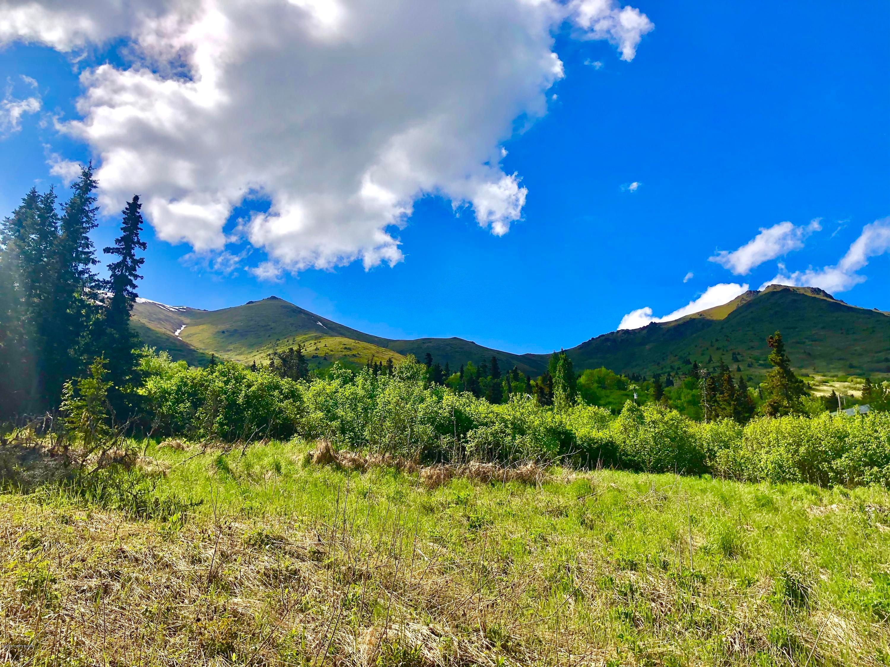 Eagle River, Anchorage Borough, AK Undeveloped Land, Homesites for sale Property ID 338398806
