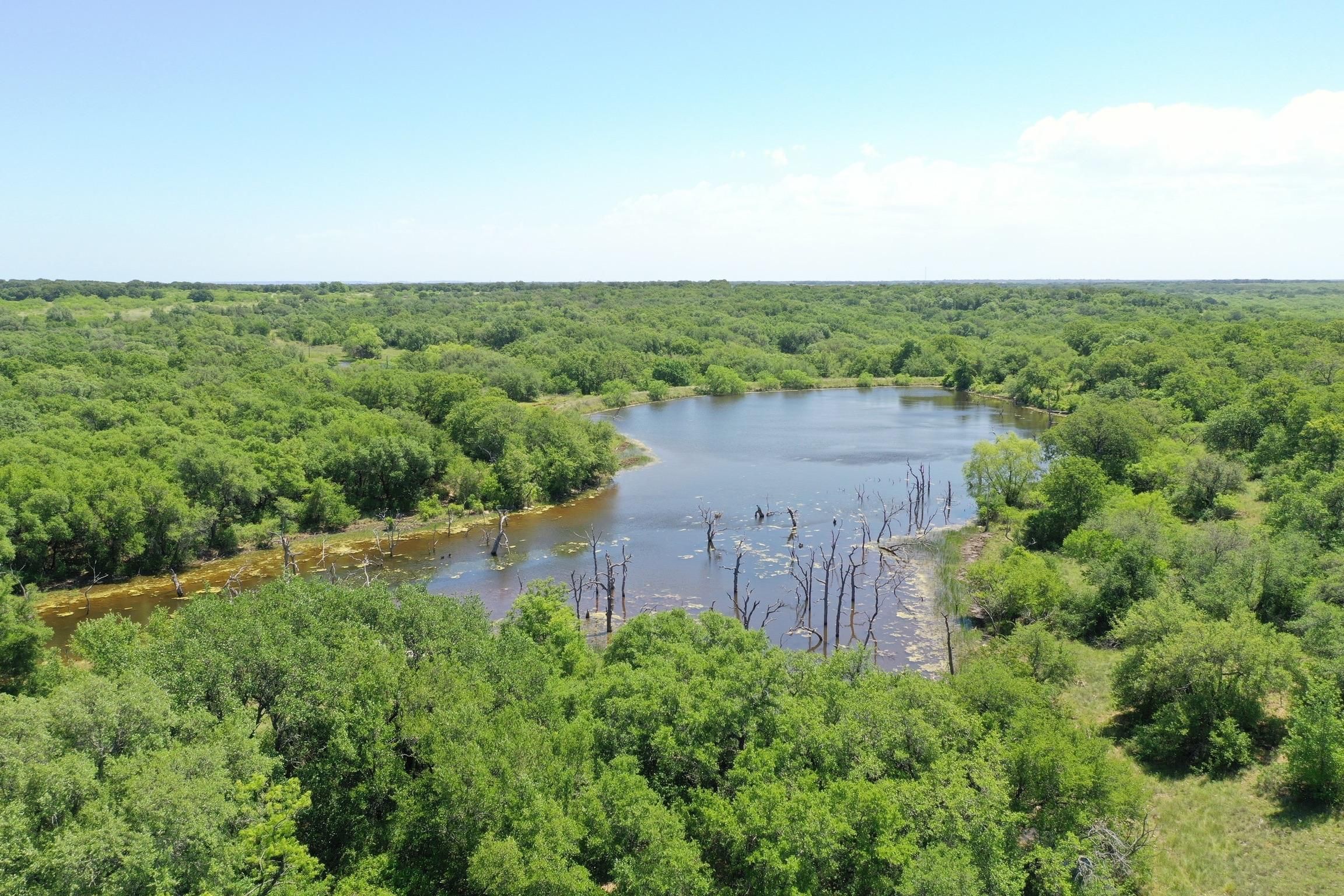 Gorman, Eastland County, TX Farms and Ranches for sale Property ID