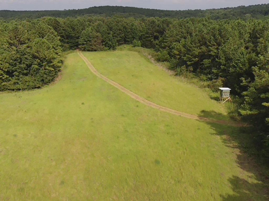 Louin, Jasper County, MS Recreational Property, Timberland Property