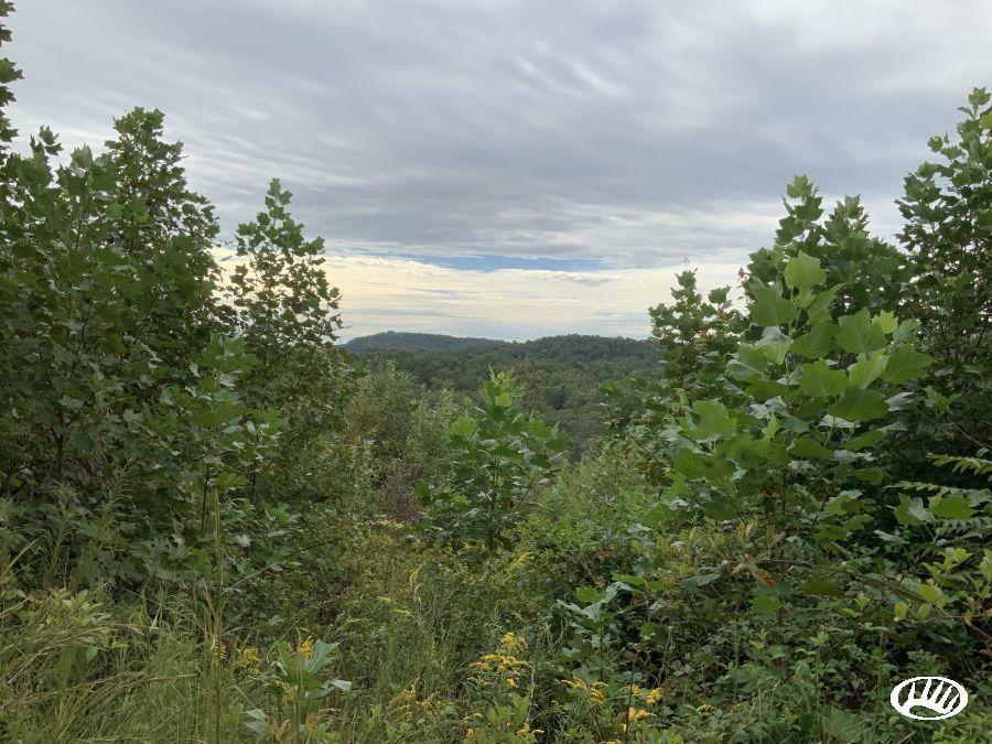 Hiddenite, Alexander County, NC Recreational Property, Timberland
