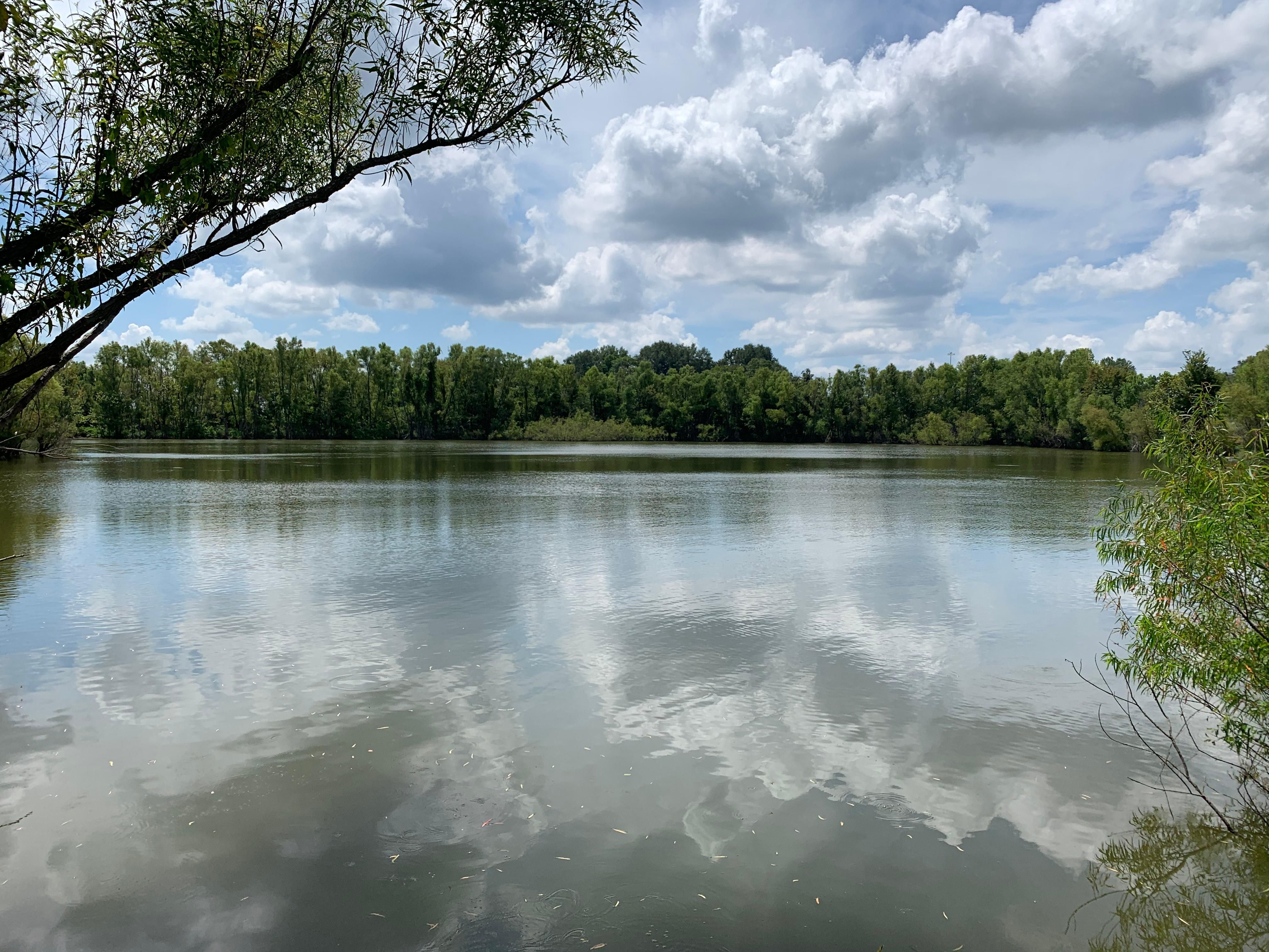 Yazoo City, Yazoo County, MS Recreational Property, Timberland Property