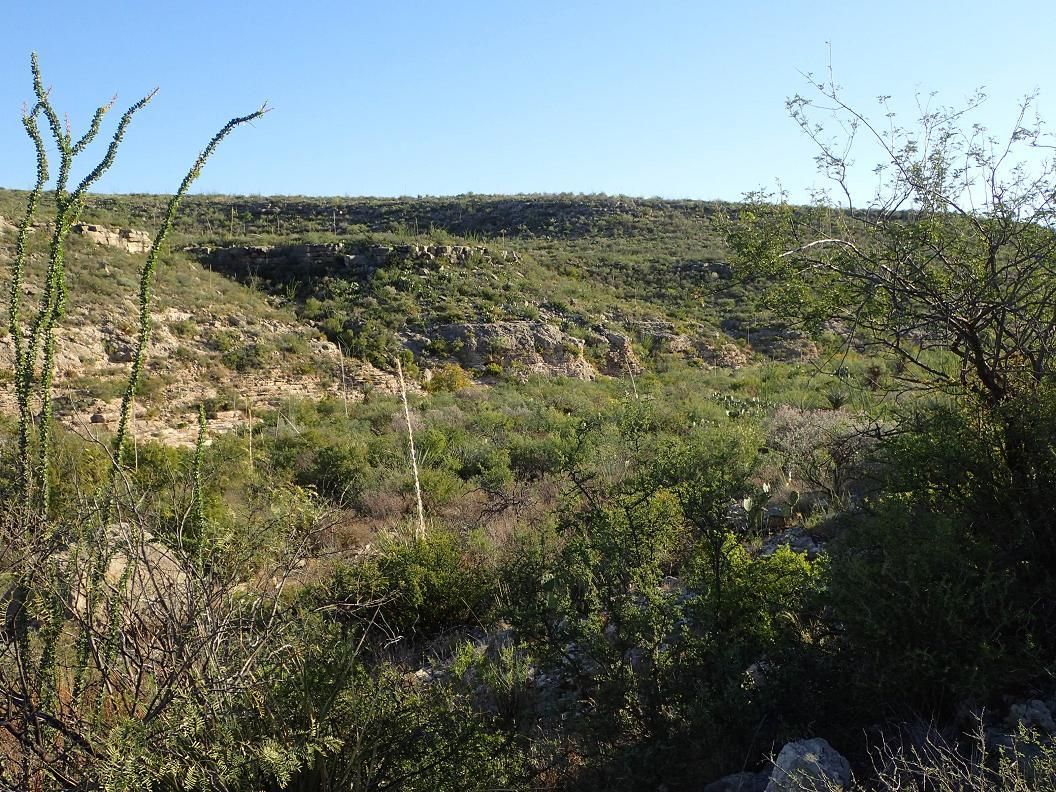 Sanderson, Terrell County, TX Farms and Ranches, Recreational Property