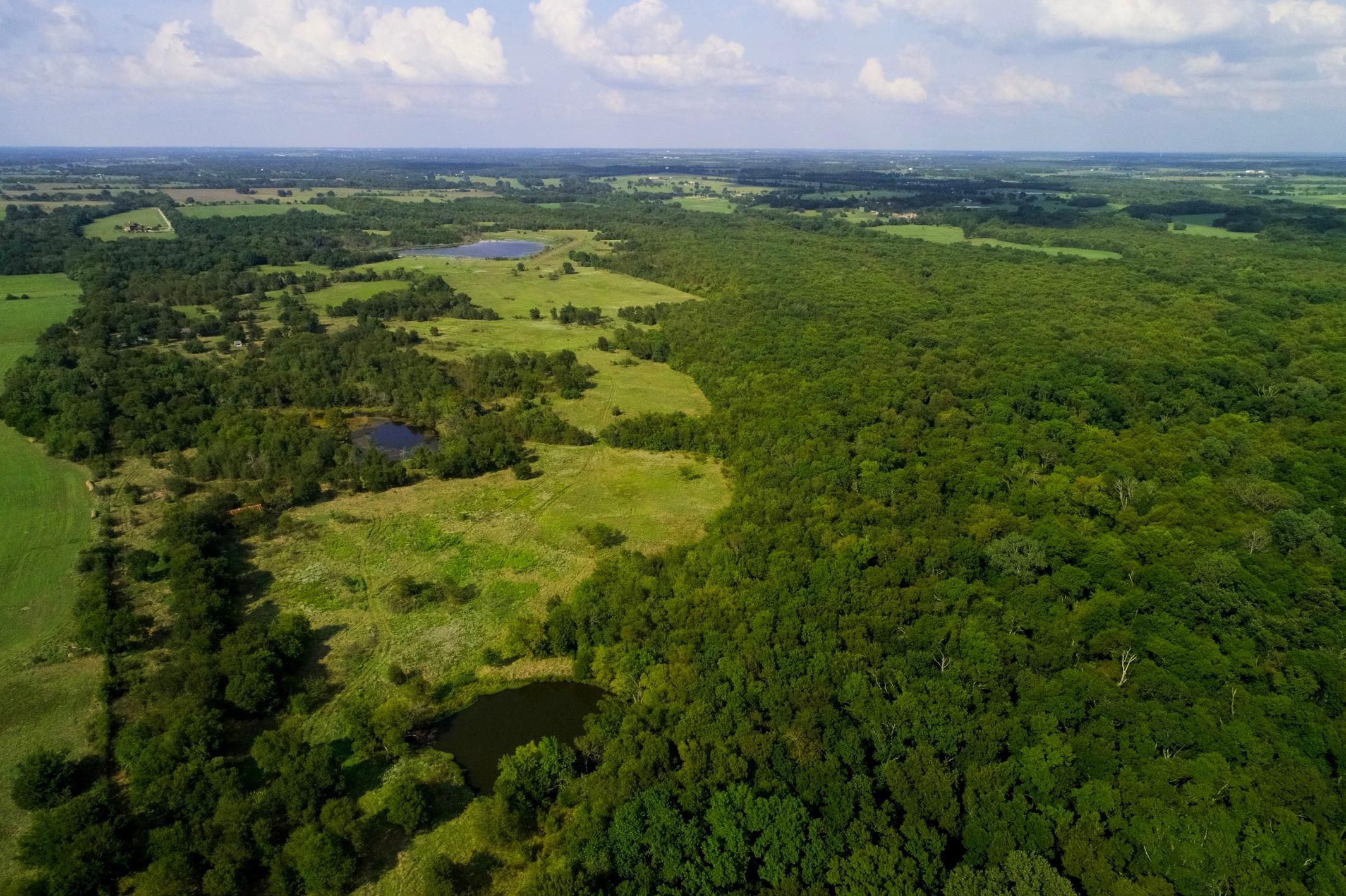 Blue Ridge, Collin County, TX Farms and Ranches, Recreational Property