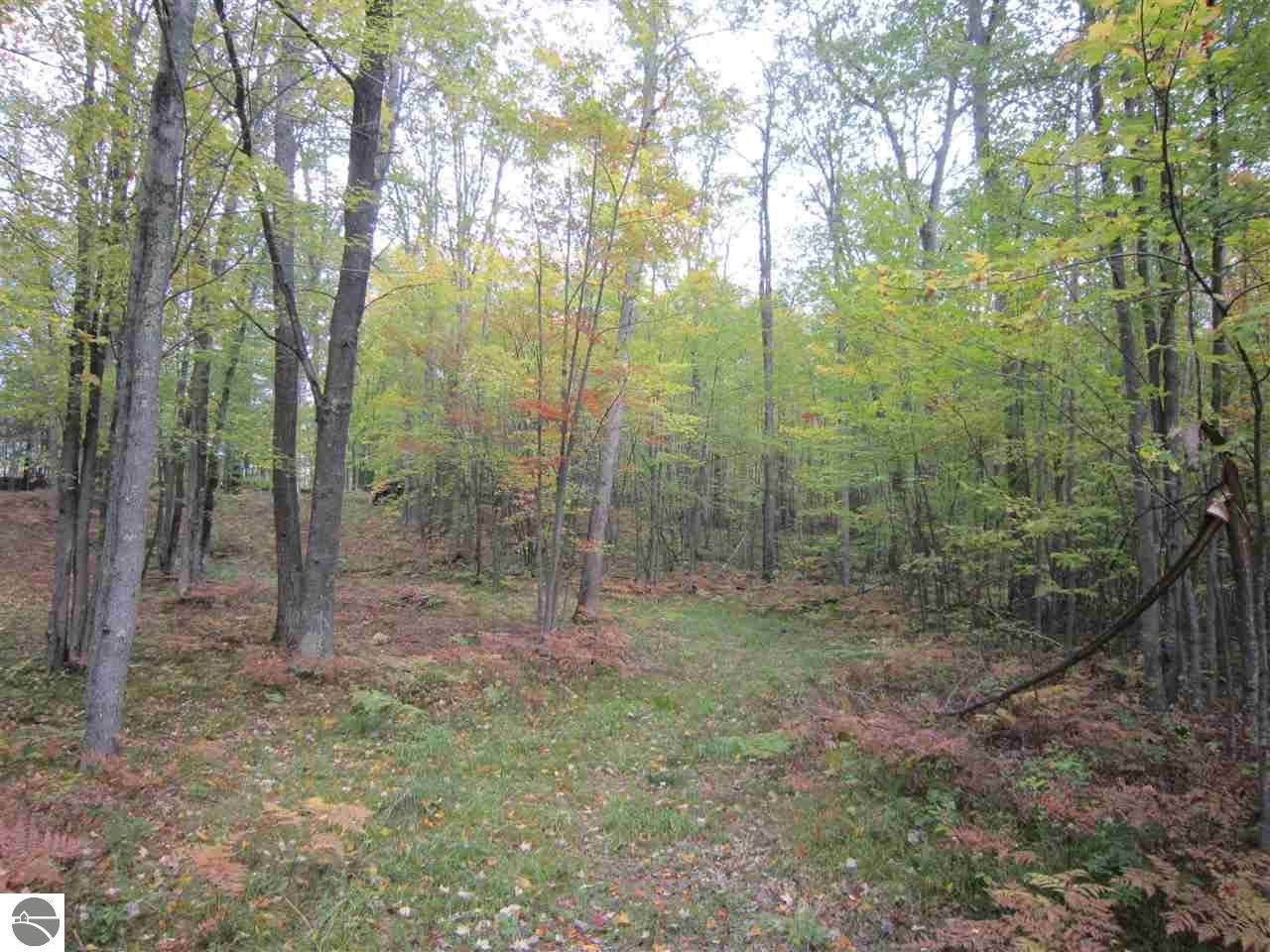 Rose City, Ogemaw County, MI Undeveloped Land for sale Property ID
