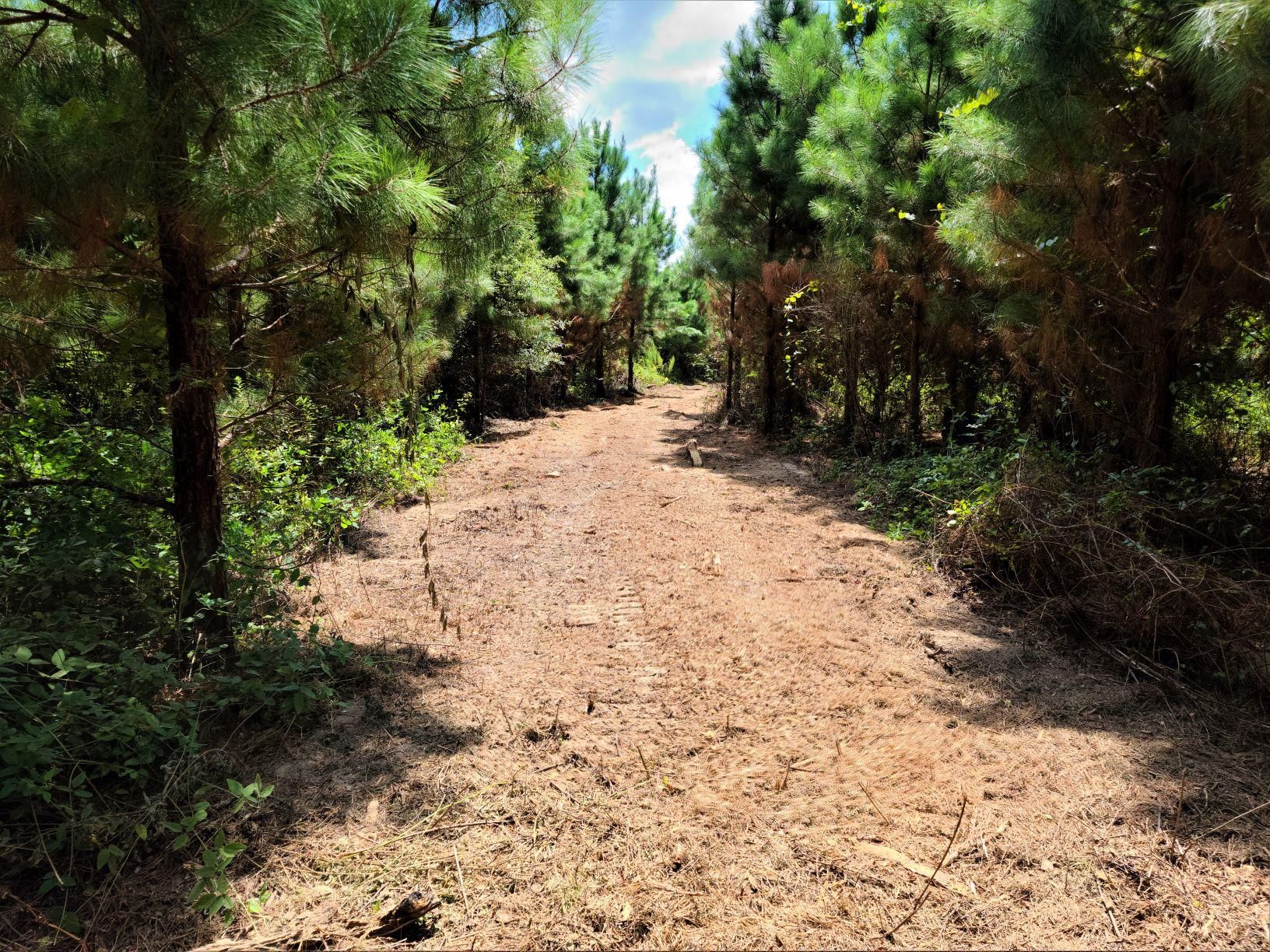 Tom, McCurtain County, OK Recreational Property, Timberland Property