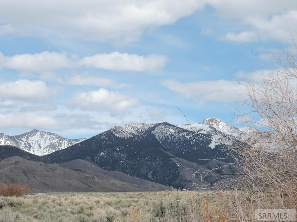 Howe, Butte County, ID Undeveloped Land for sale Property ID 339307316