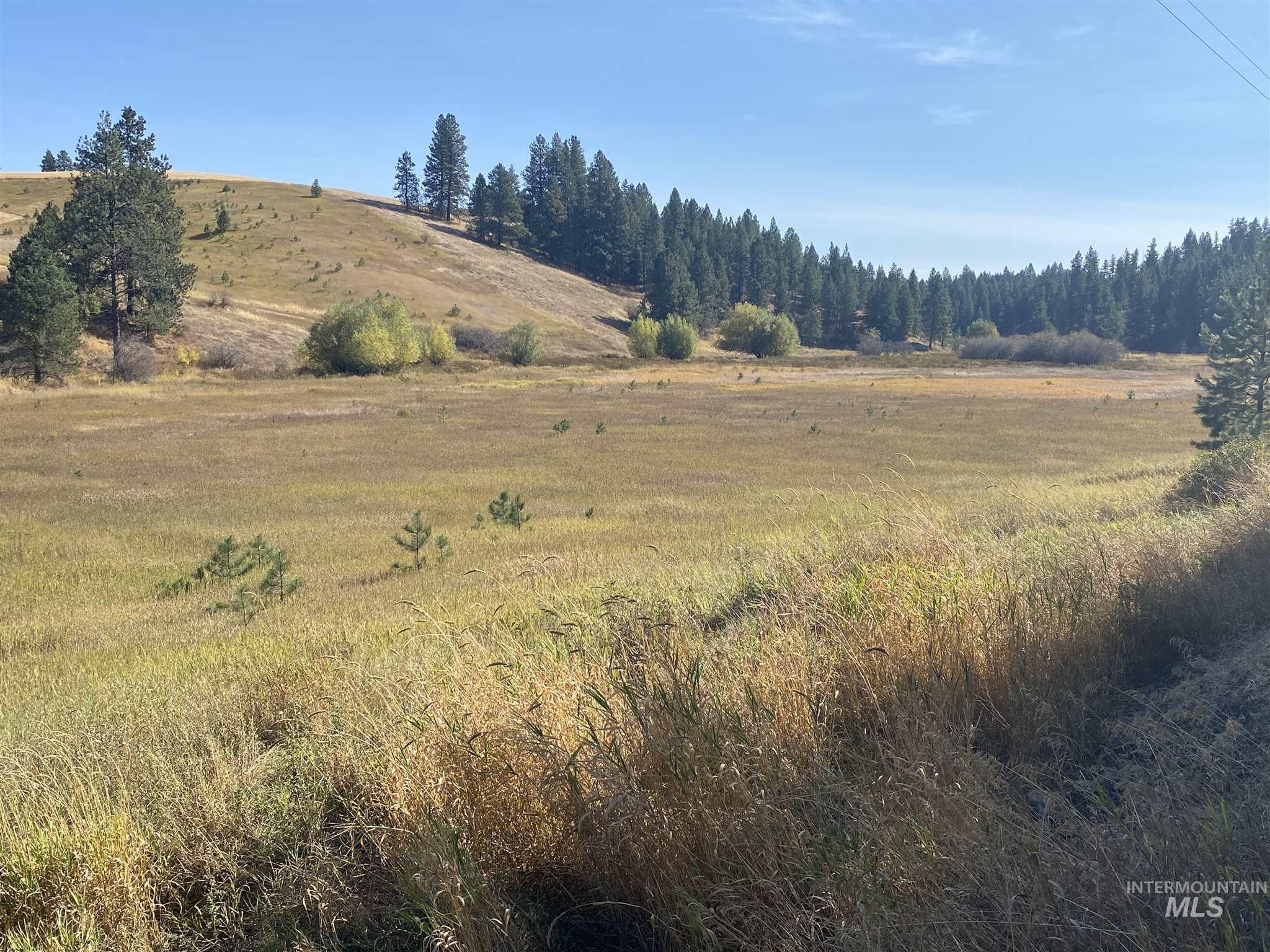 Moscow, Latah County, ID Farms and Ranches for sale Property ID