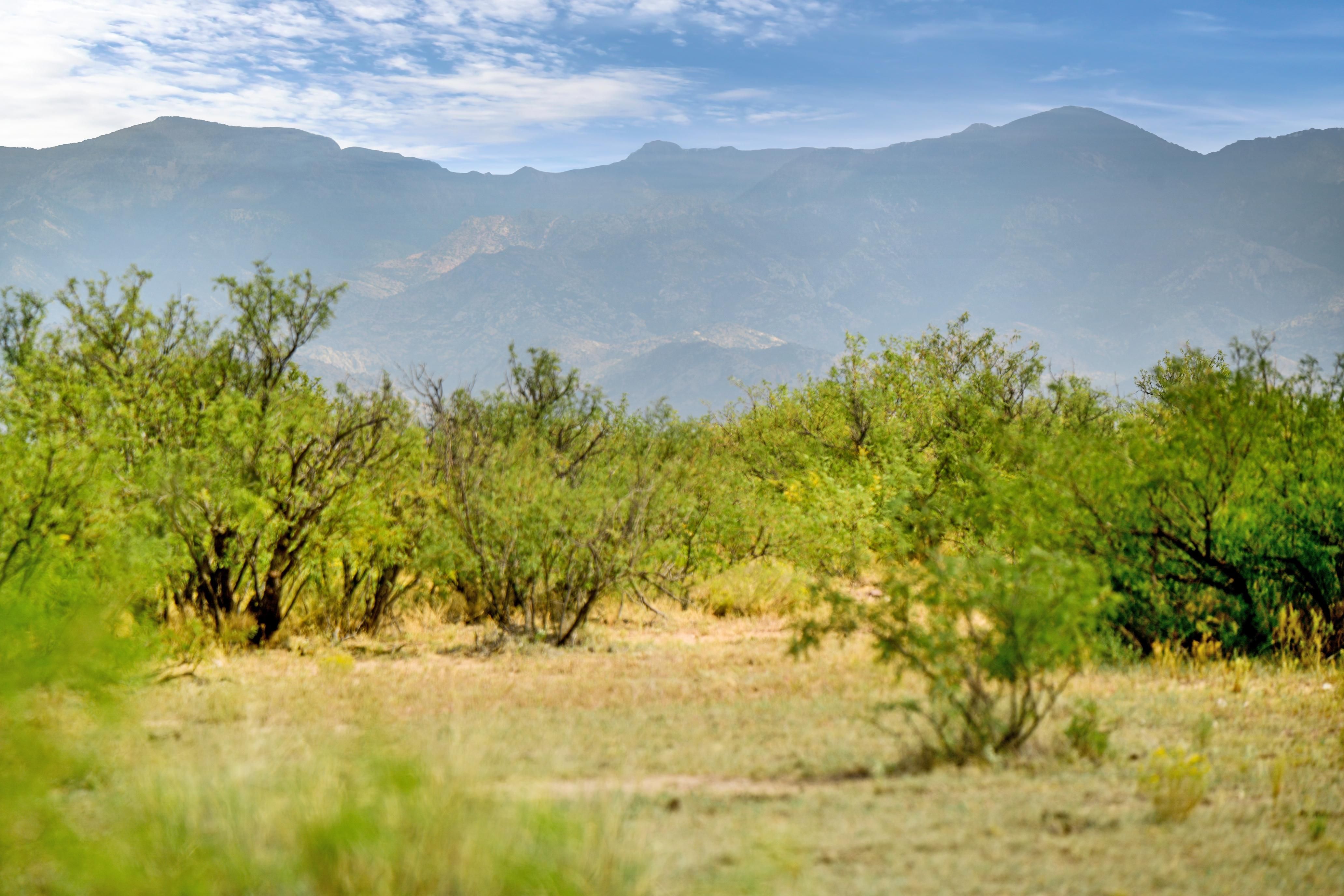 Elfrida, Cochise County, AZ Recreational Property, Undeveloped Land