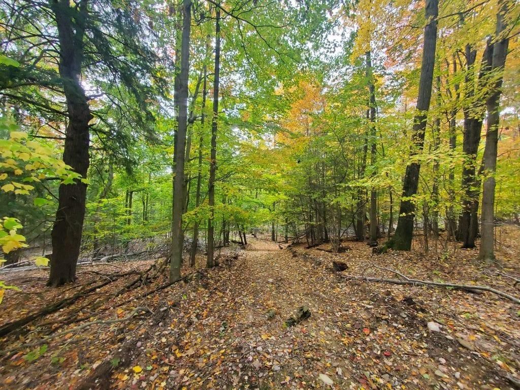 Arkport, Steuben County, NY Recreational Property, Timberland Property, Hunting Property for
