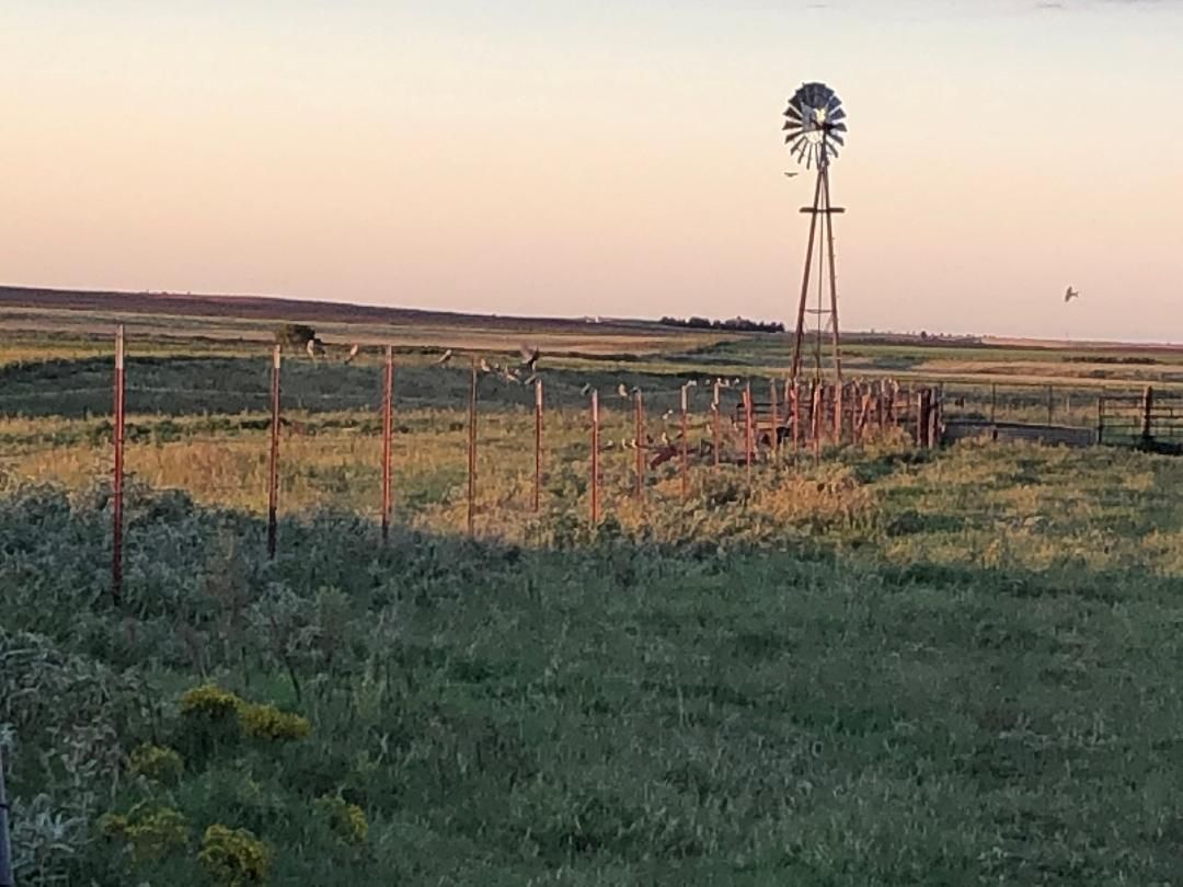 Cherokee, Alfalfa County, OK Farms and Ranches, Hunting Property for sale Property ID 408588071