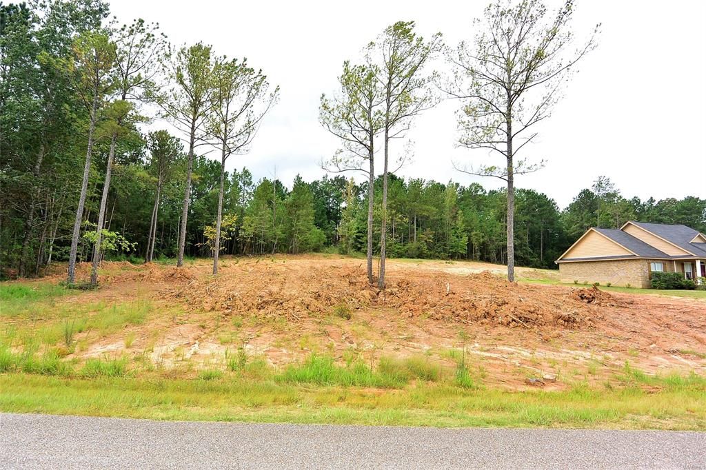Wetumpka, Elmore County, AL Undeveloped Land, Homesites for sale