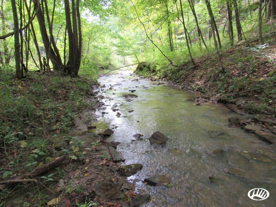 Elizabeth, Wirt County, WV Recreational Property, Timberland Property