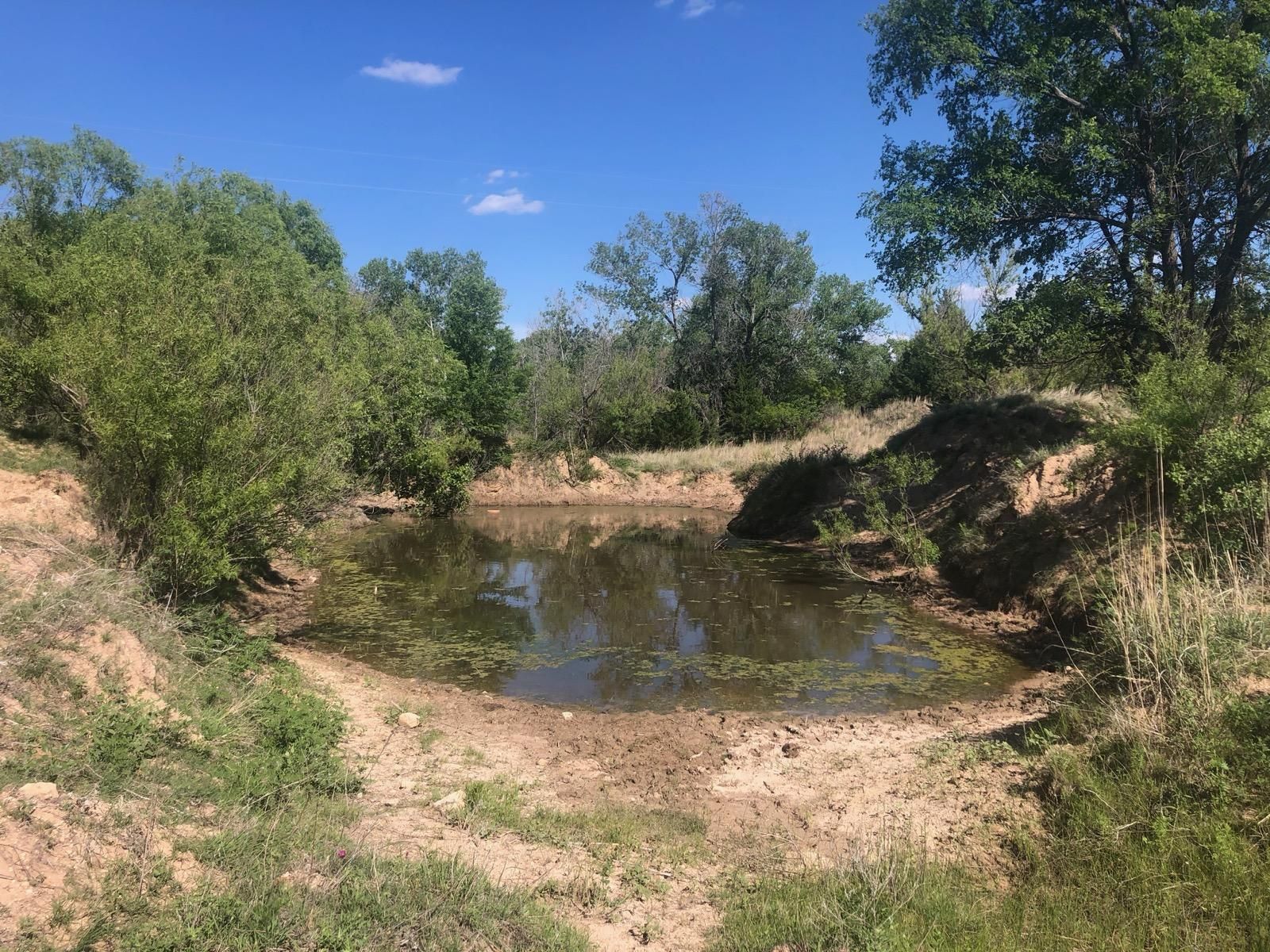 Alanreed, Donley County, TX Farms and Ranches, Recreational Property