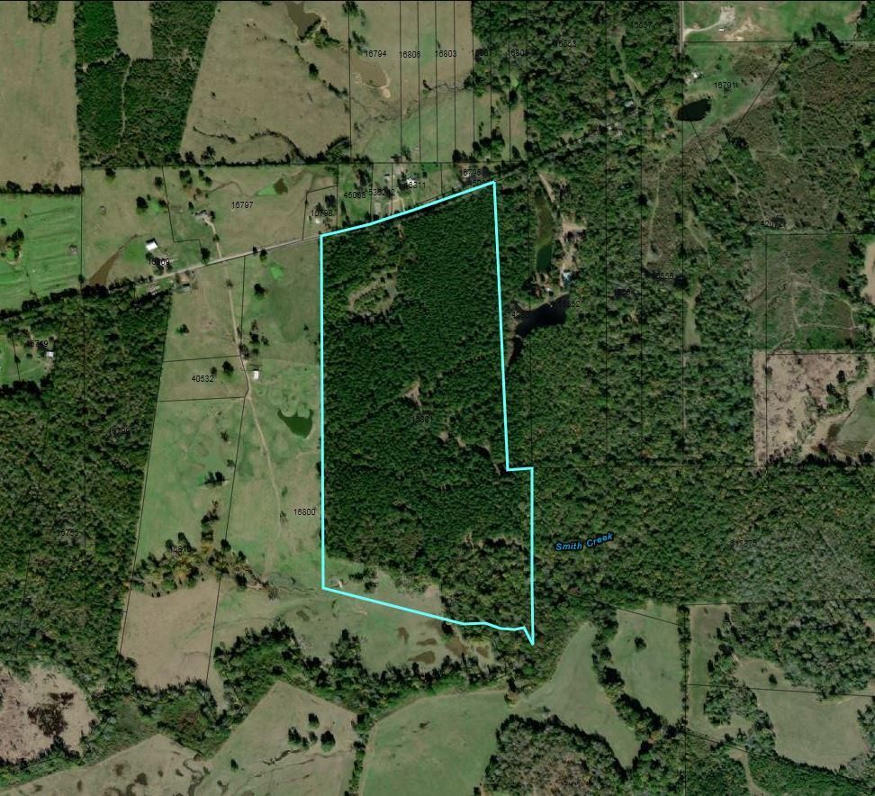 Tenaha, Shelby County, TX Recreational Property, Hunting Property for