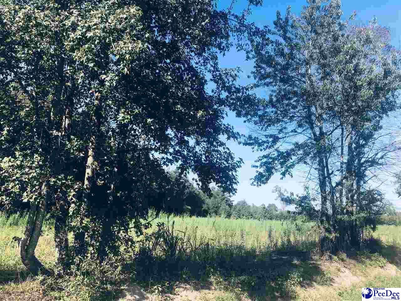 Scranton, Florence County, SC Undeveloped Land for sale Property ID